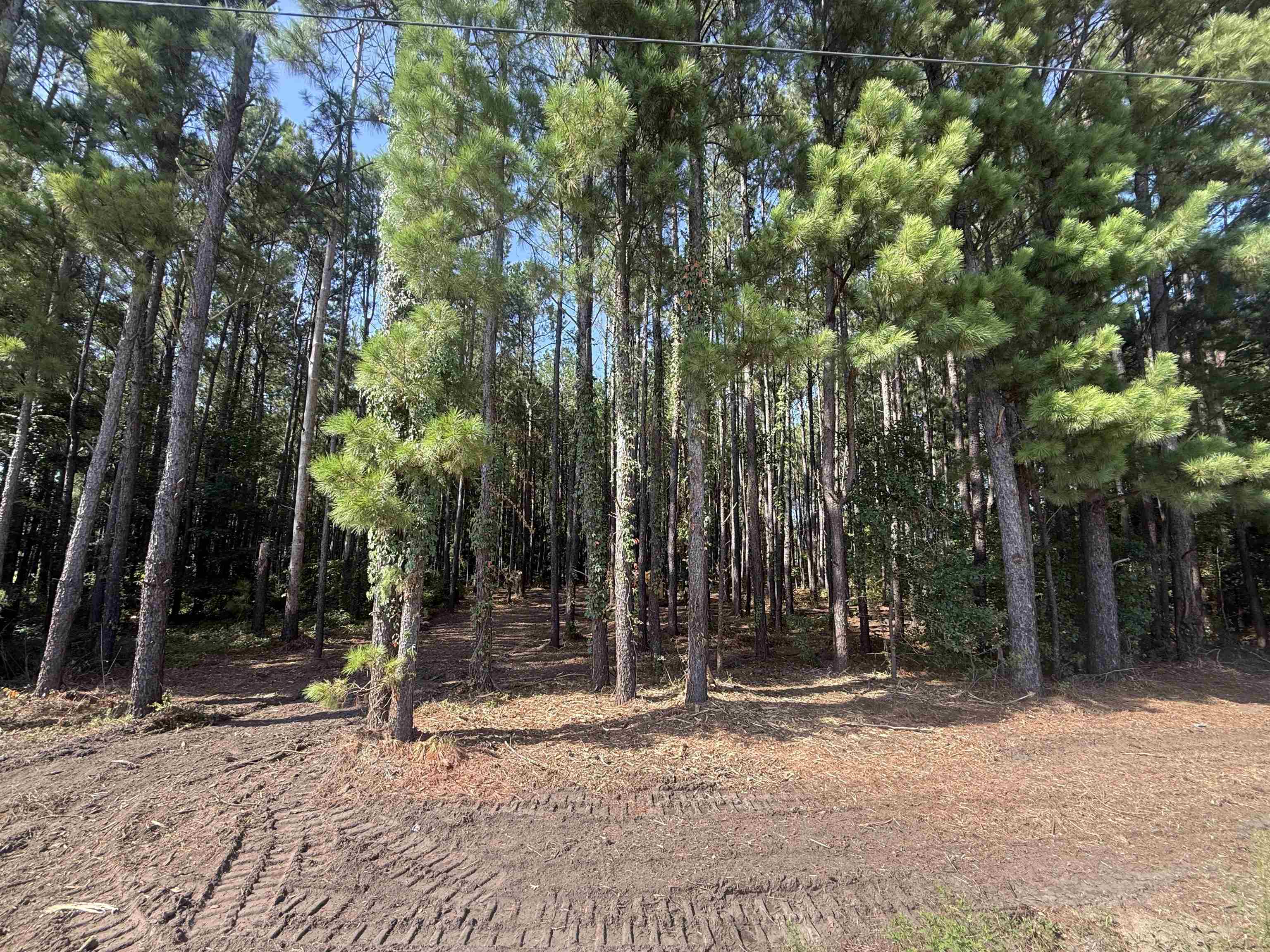 Tbd Pasture Rd. Property Photo 2