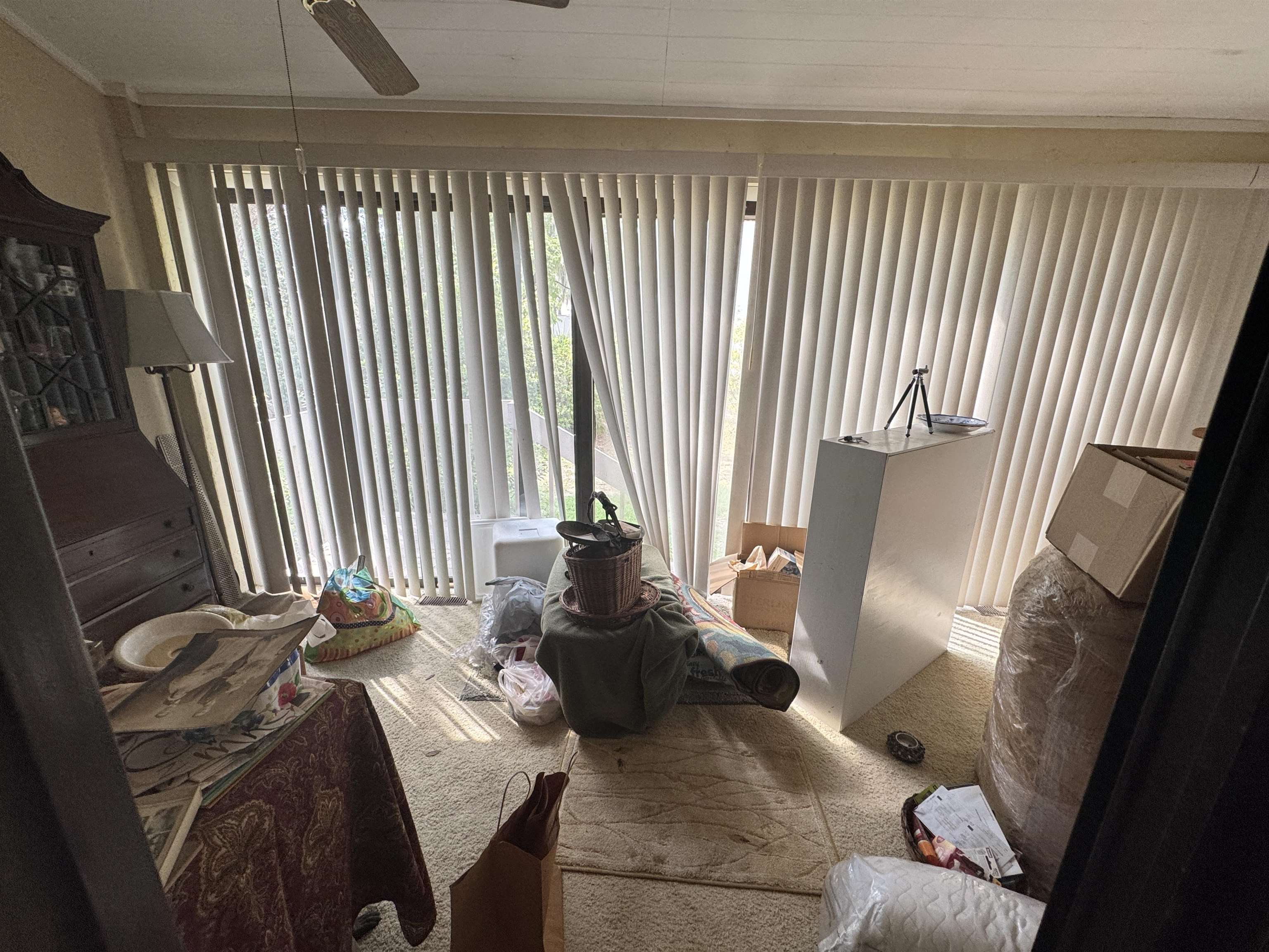 64 Bamboo Loop Property Photo 20