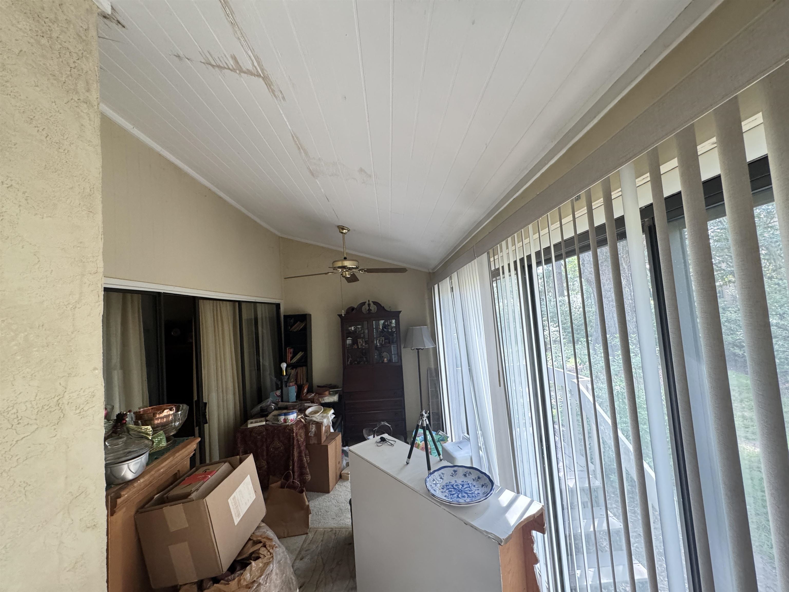 64 Bamboo Loop Property Photo 22