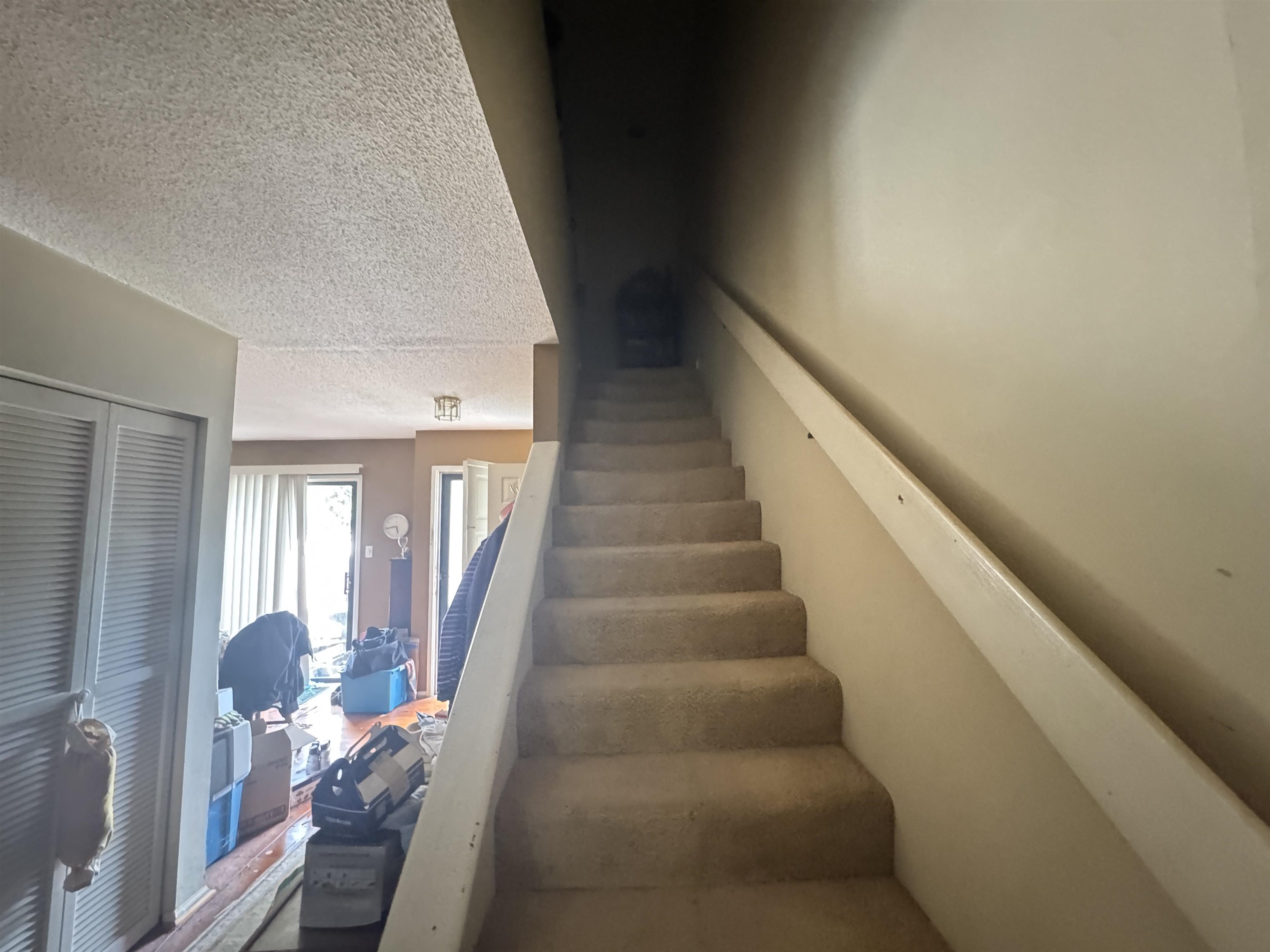 64 Bamboo Loop Property Photo 24