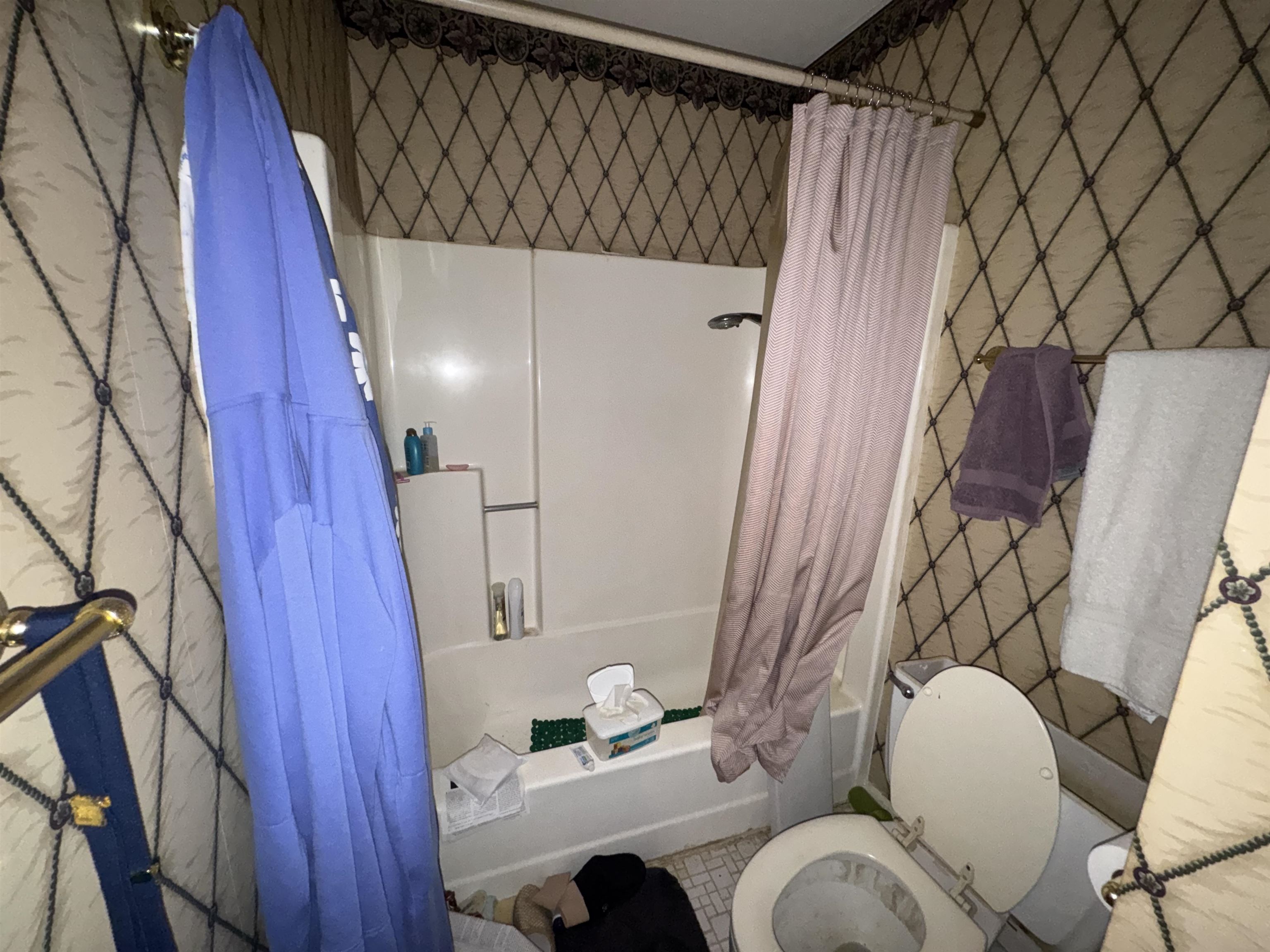 64 Bamboo Loop Property Photo 29