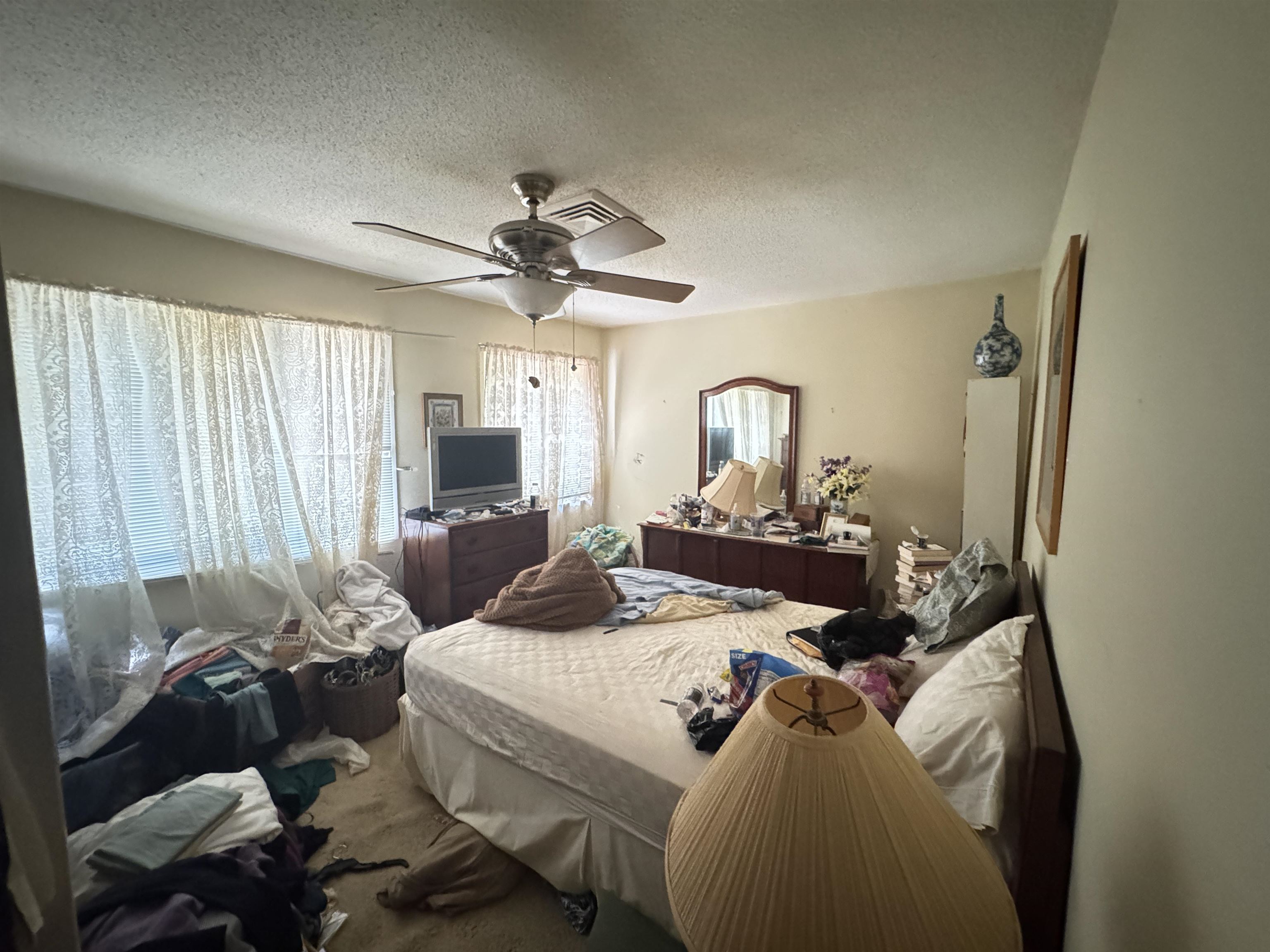 64 Bamboo Loop Property Photo 30