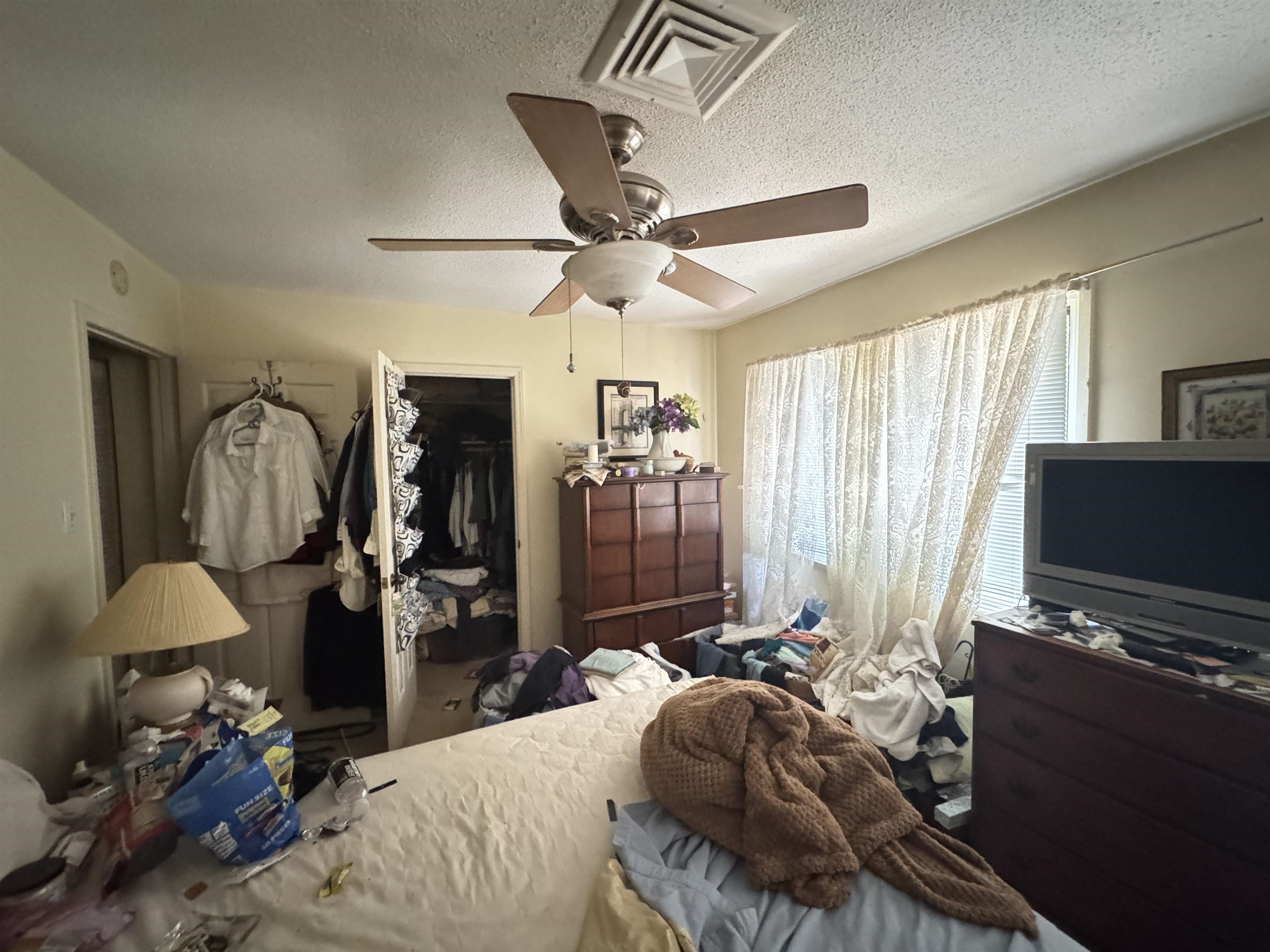 64 Bamboo Loop Property Photo 31