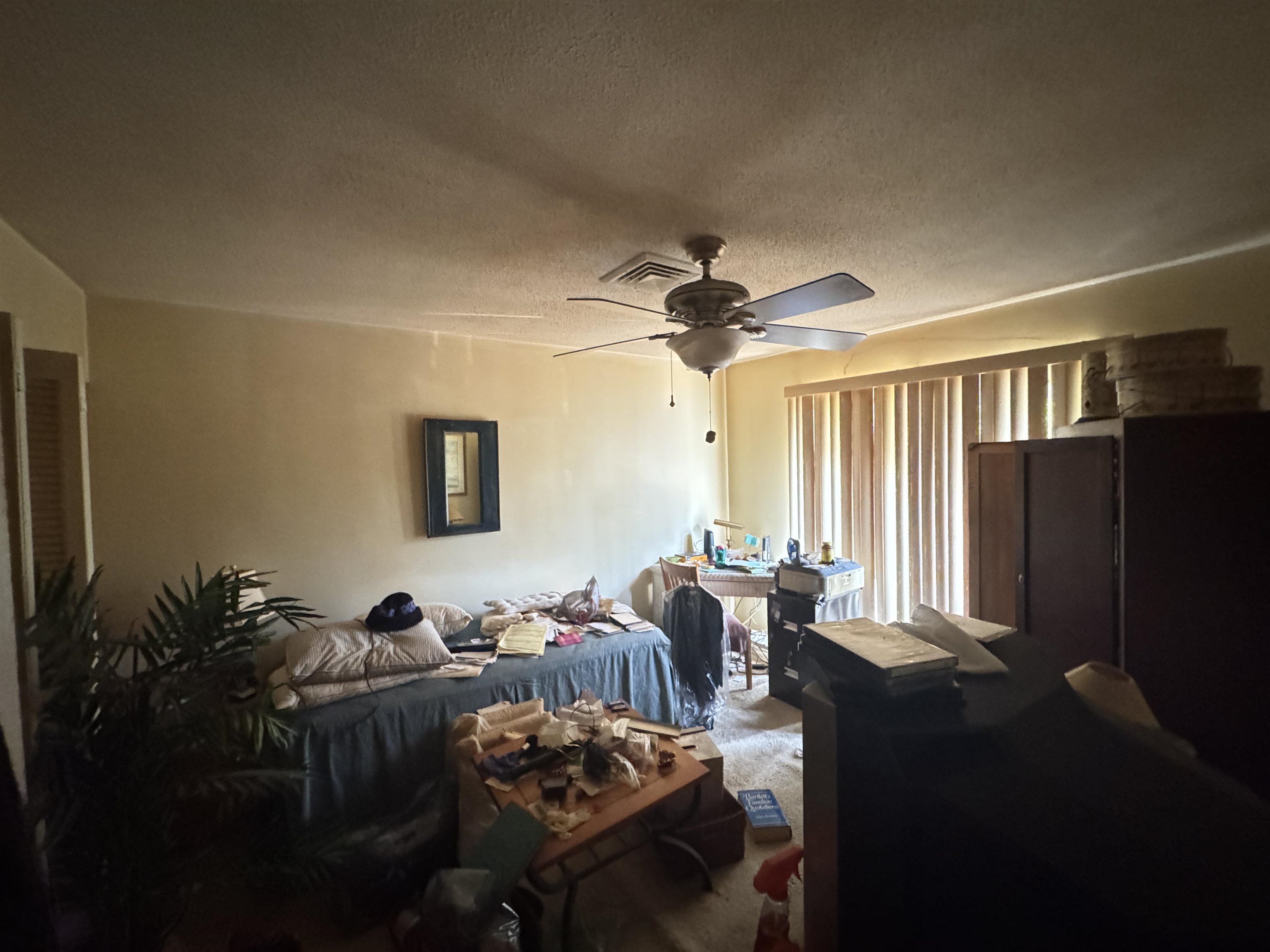 64 Bamboo Loop Property Photo 32