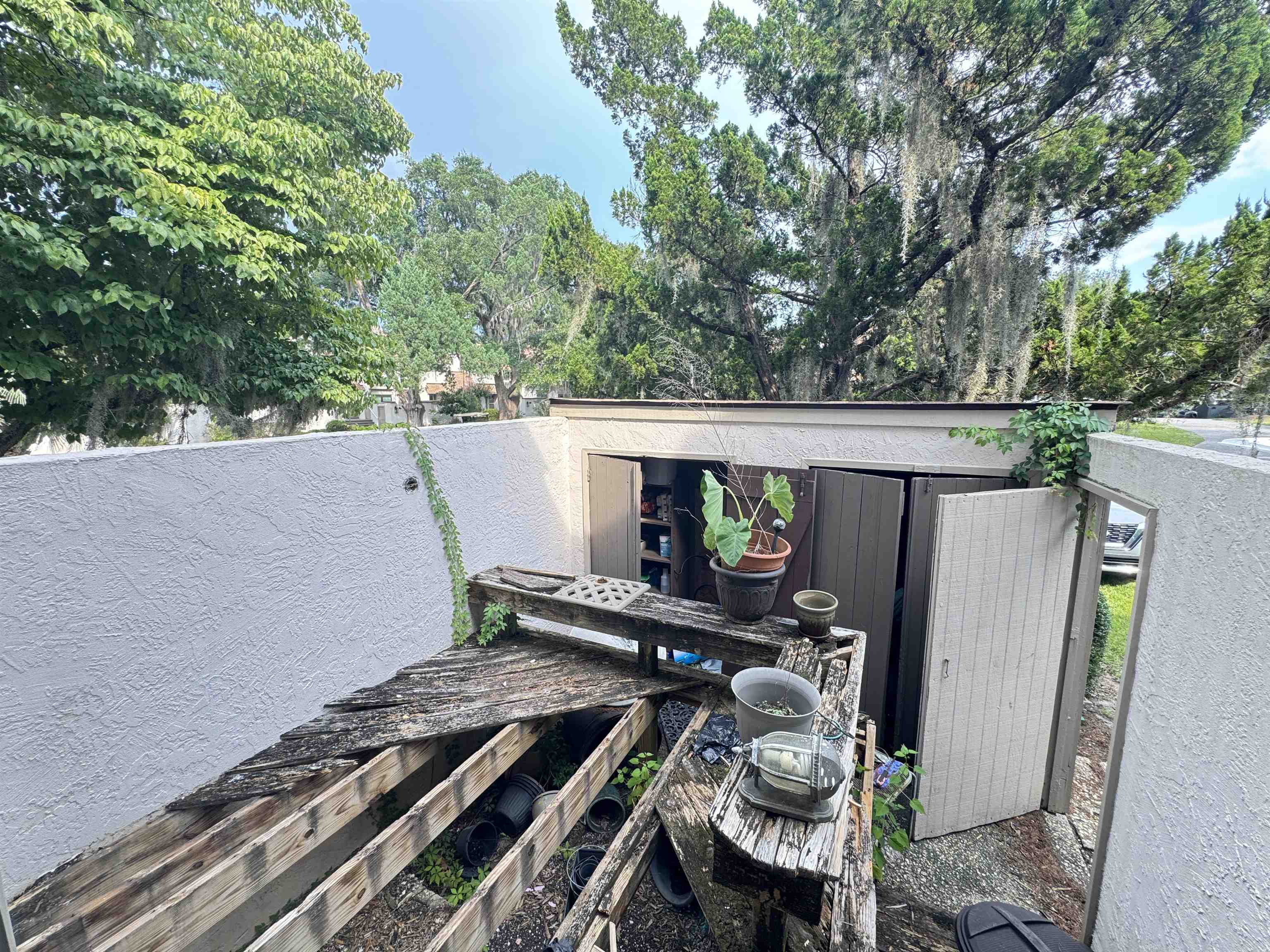 64 Bamboo Loop Property Photo 37