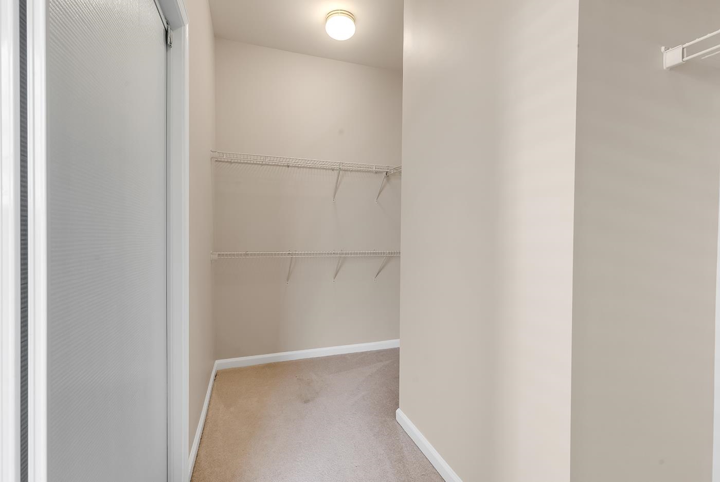 3009 Corn Pickers Ln. Property Photo 25