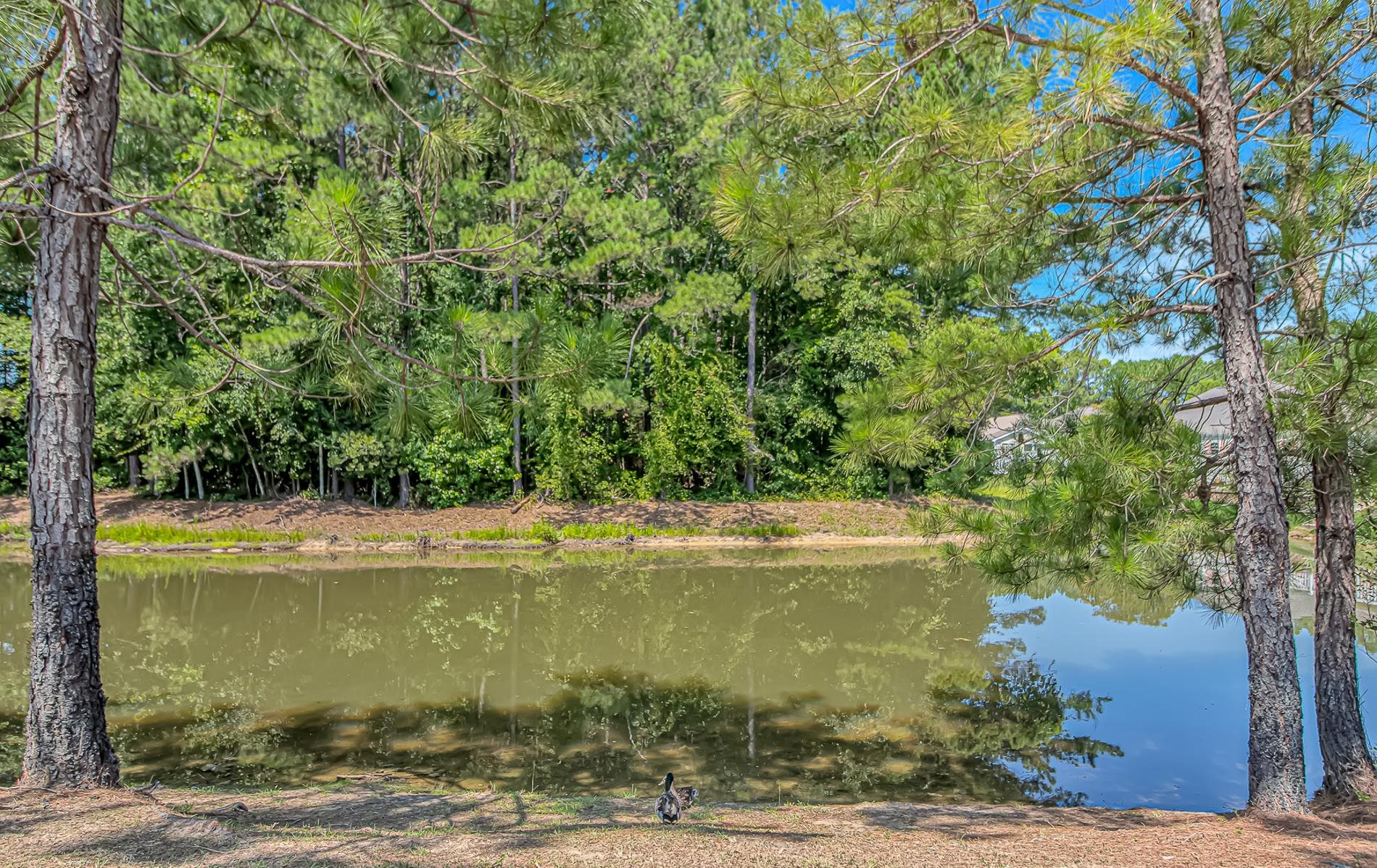 1010 Napa Ct. Property Photo 2