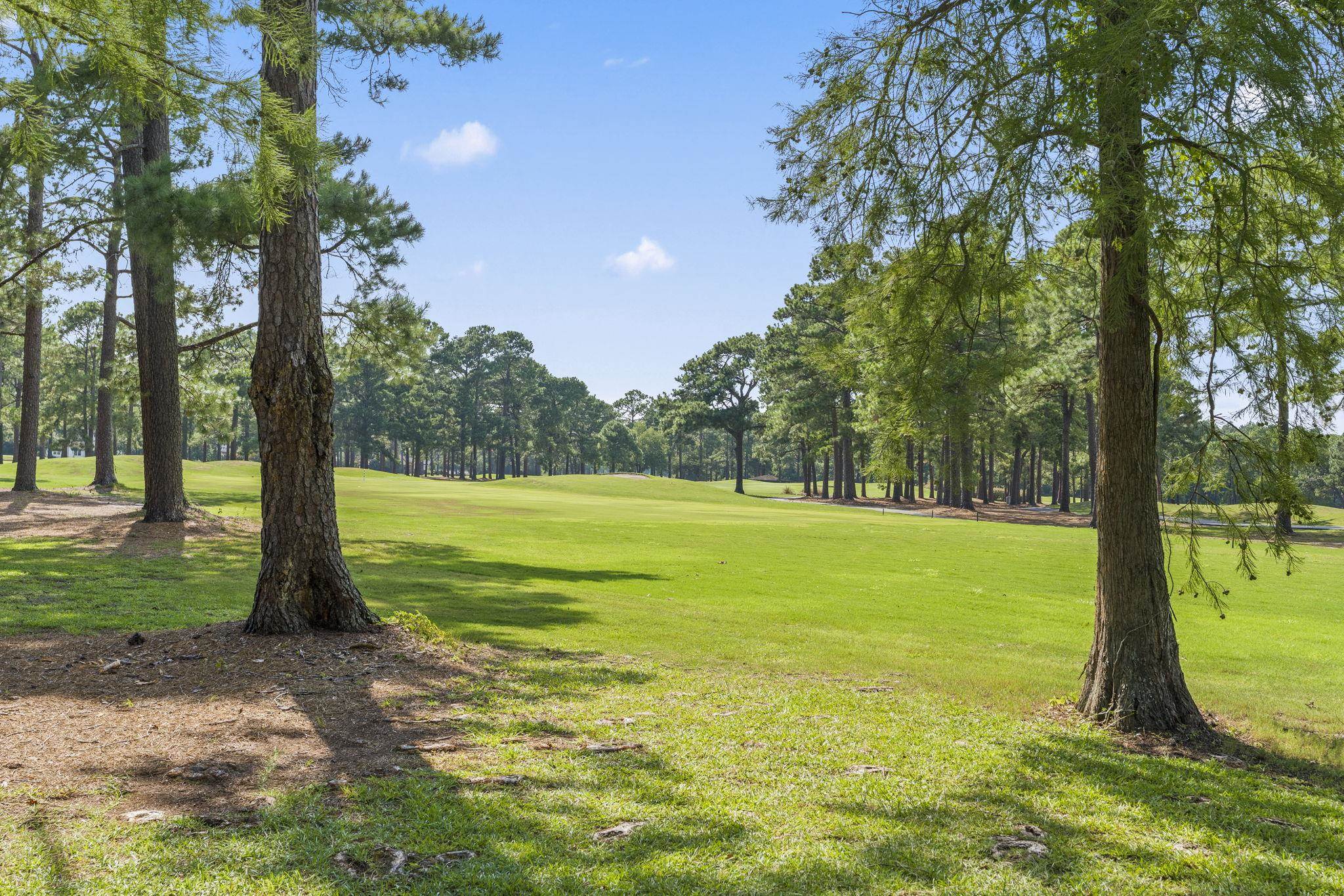 1207 Loblolly Ln. Property Photo 53