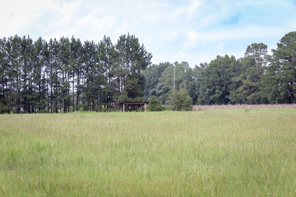 5124 Highway 76 Property Photo 39