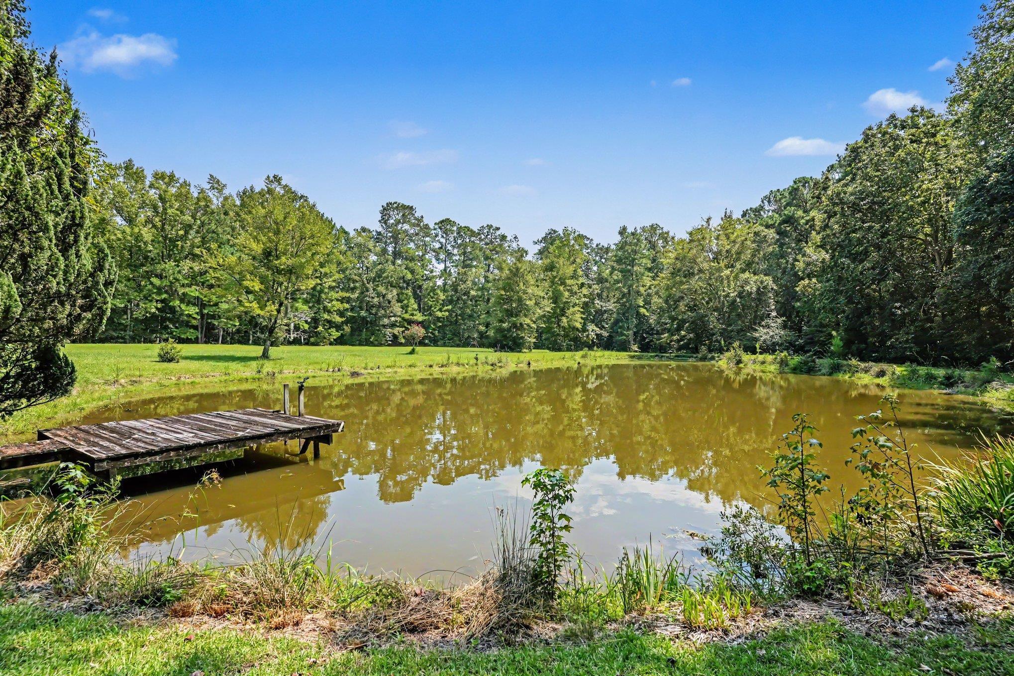 3750 Highway 813 Property Photo 58