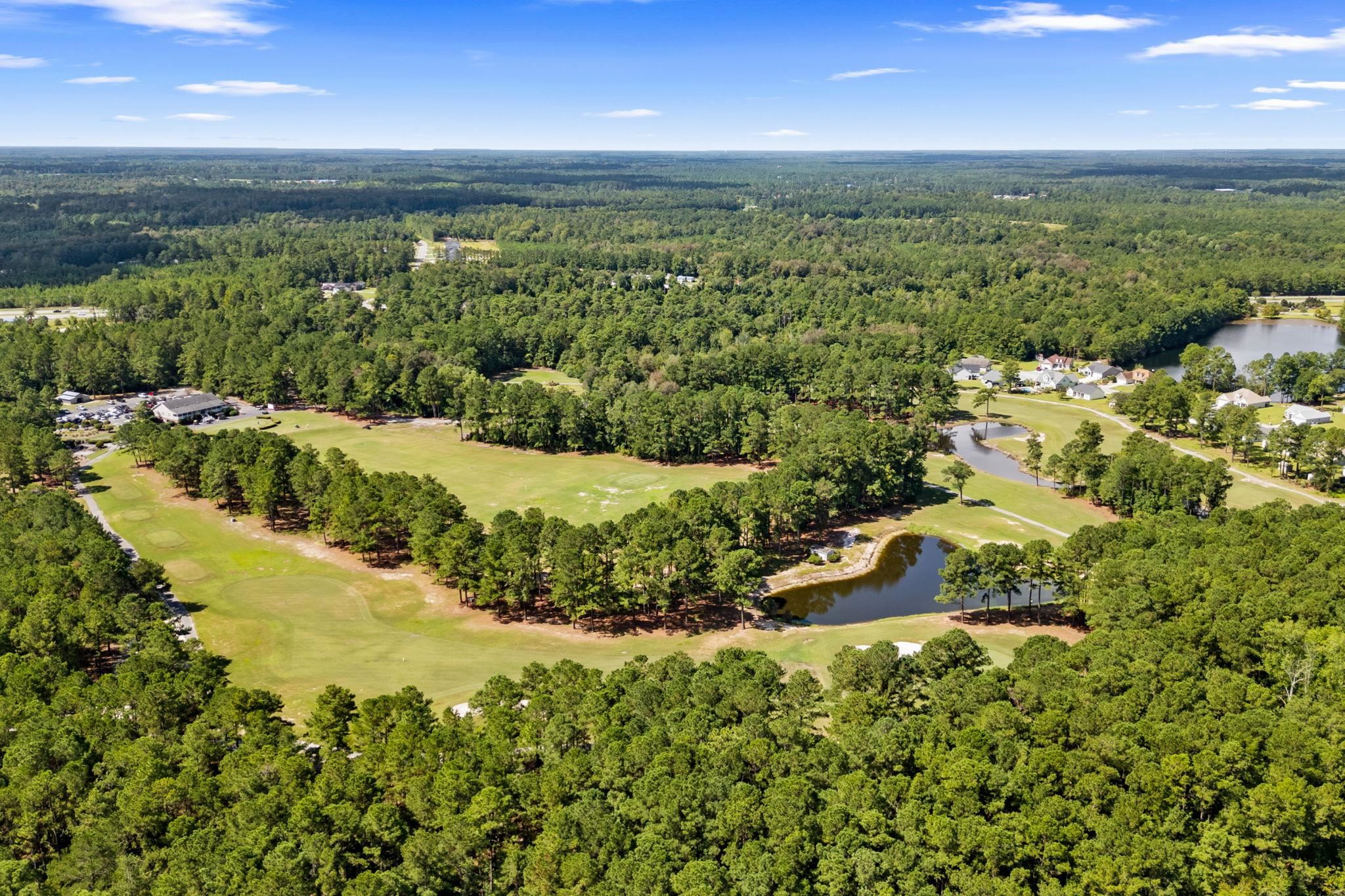 800 Stone Pine Ct. Property Photo 59
