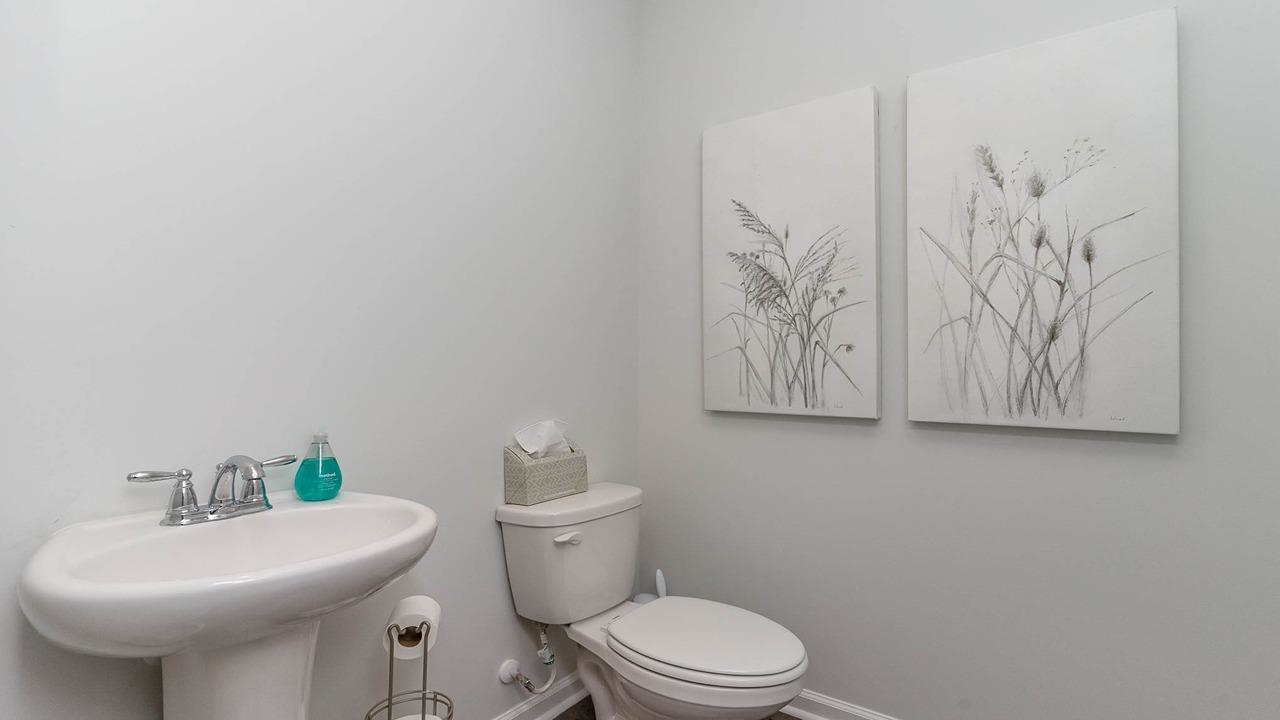 233 Ridley St Property Photo 6