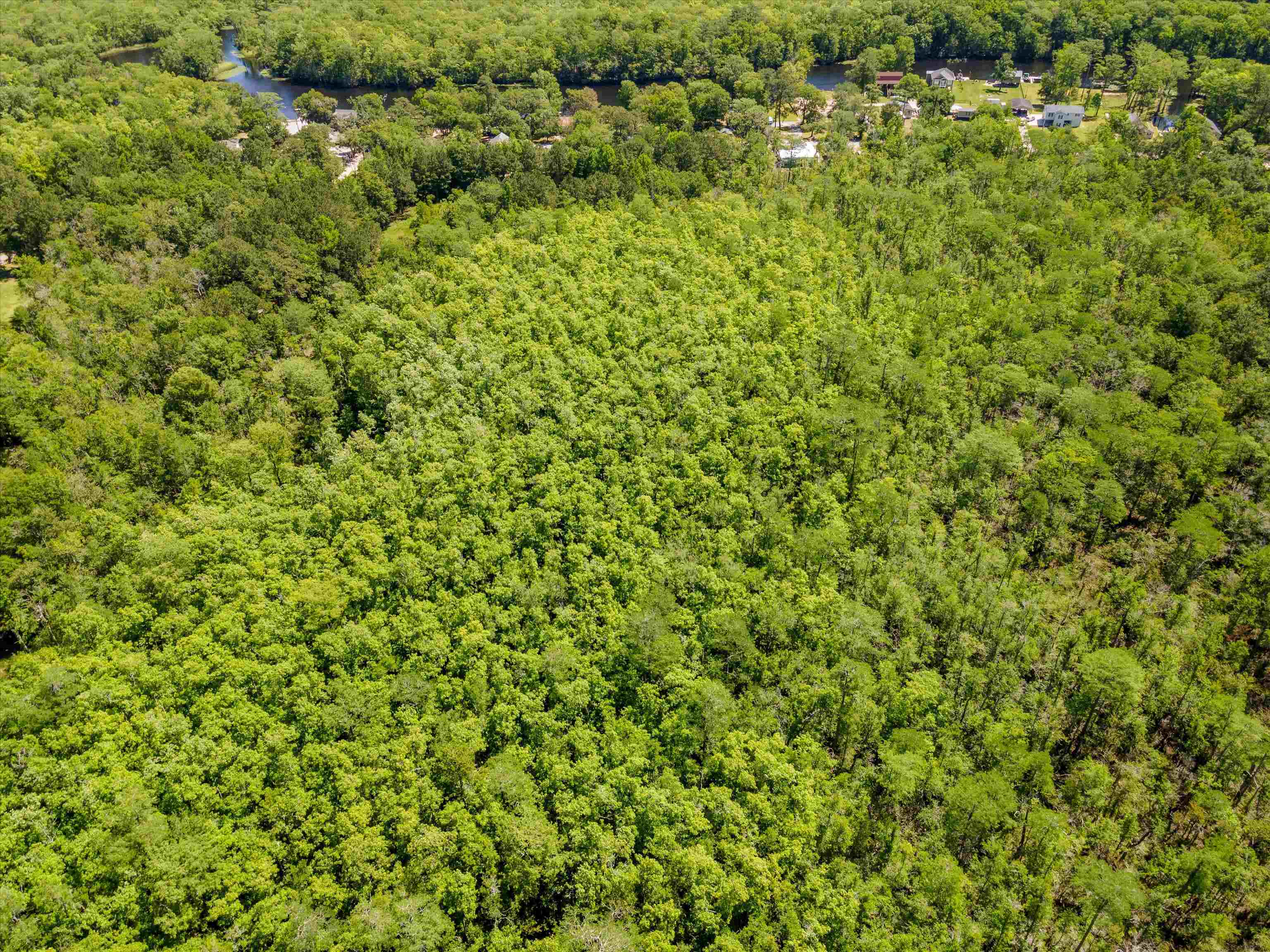 Tbd Pitch Landing Rd. Property Photo 8