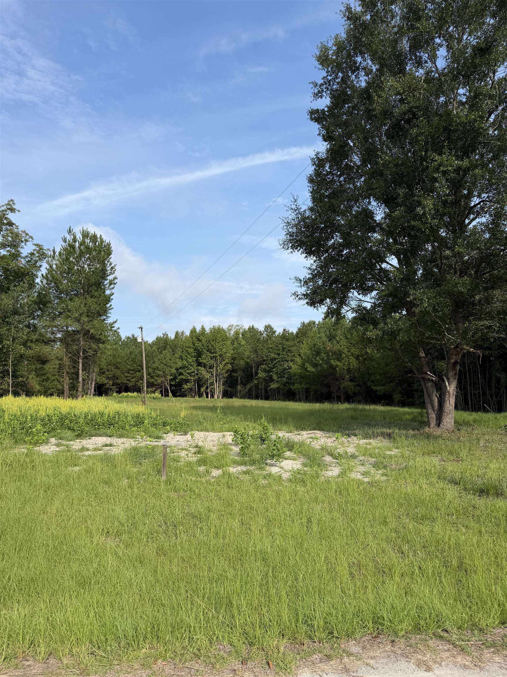 Tbd Hayfield Rd. Property Photo 1