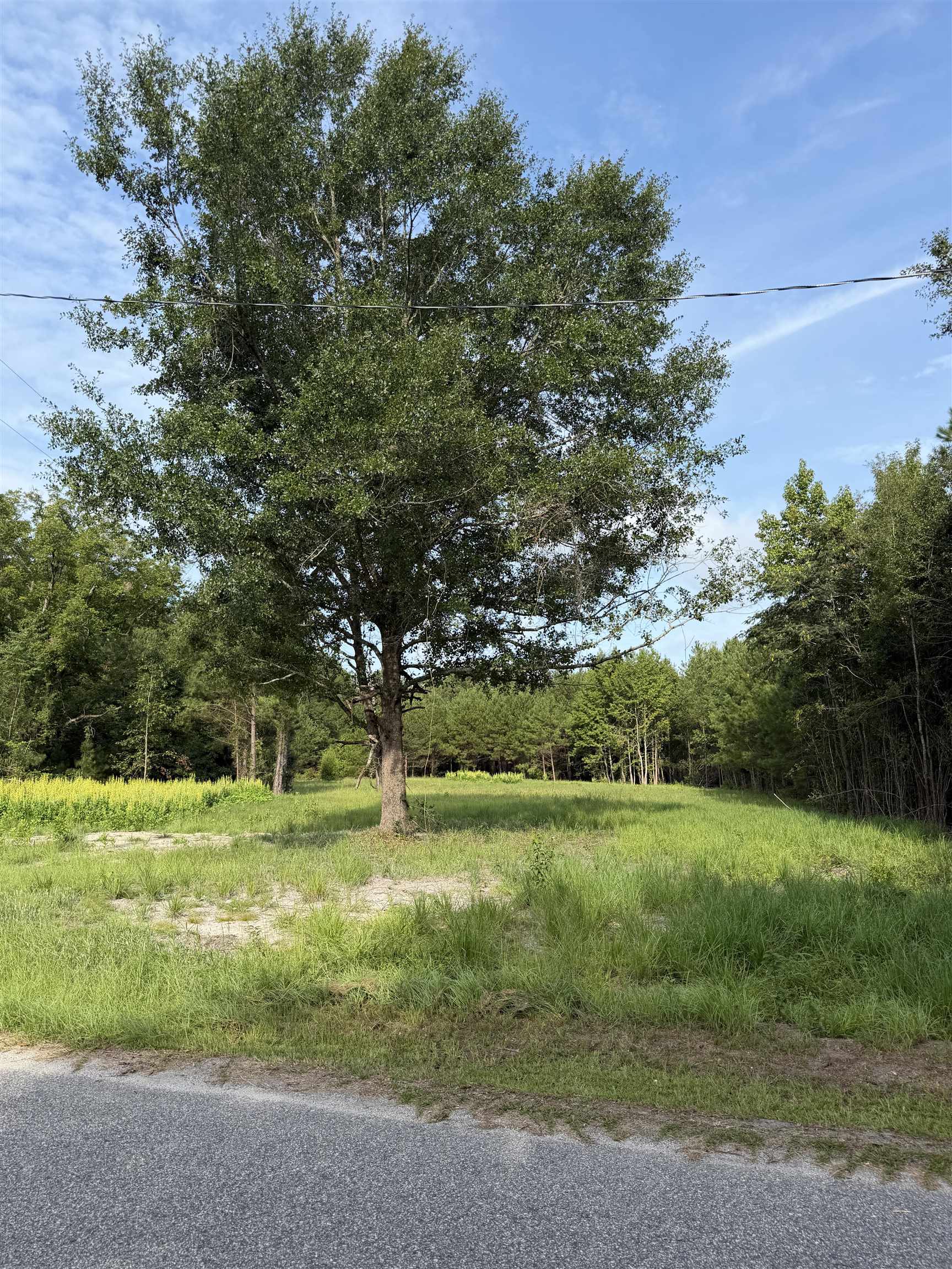Tbd Hayfield Rd. Property Photo 7