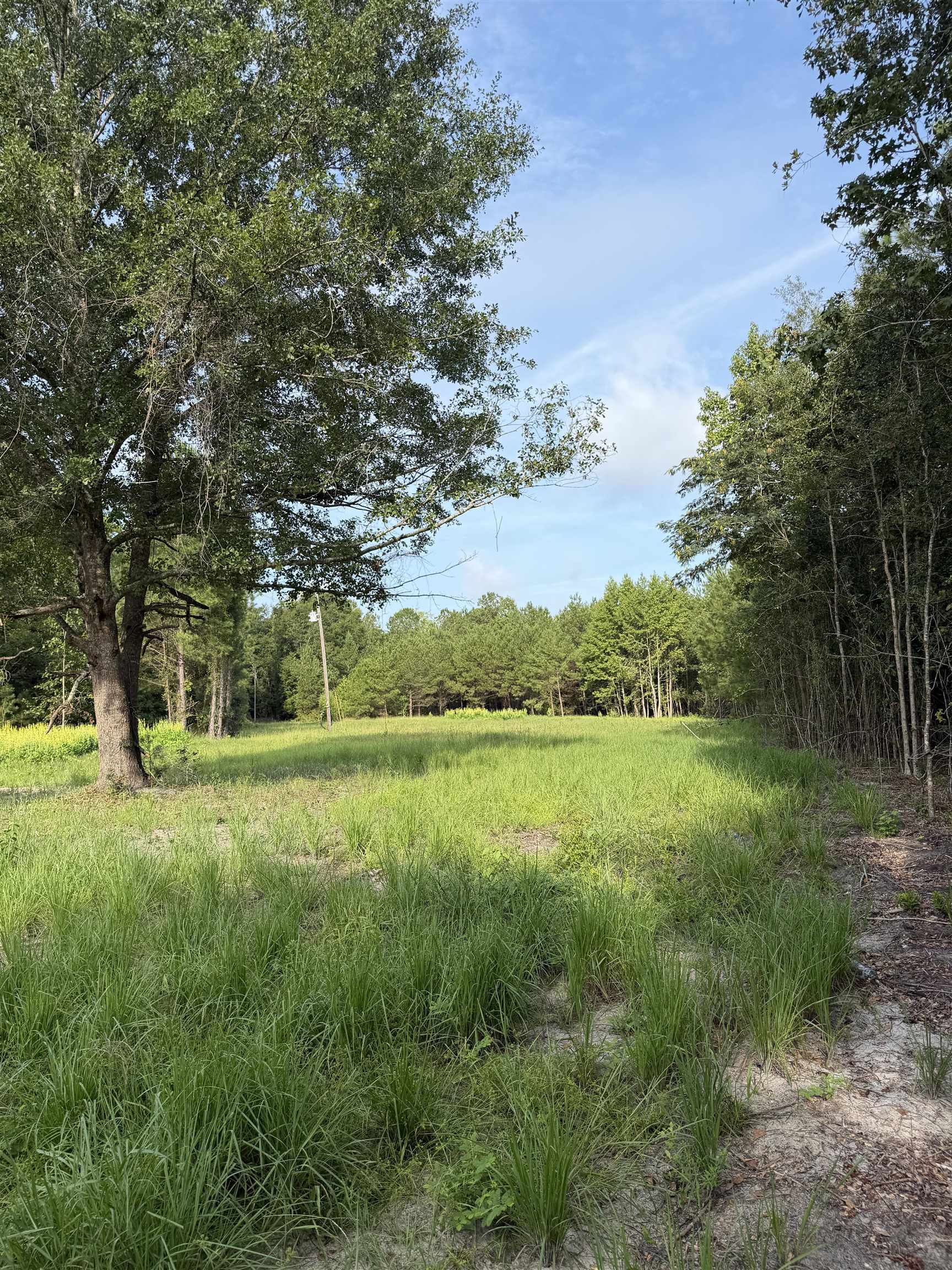 Tbd Hayfield Rd. Property Photo 8