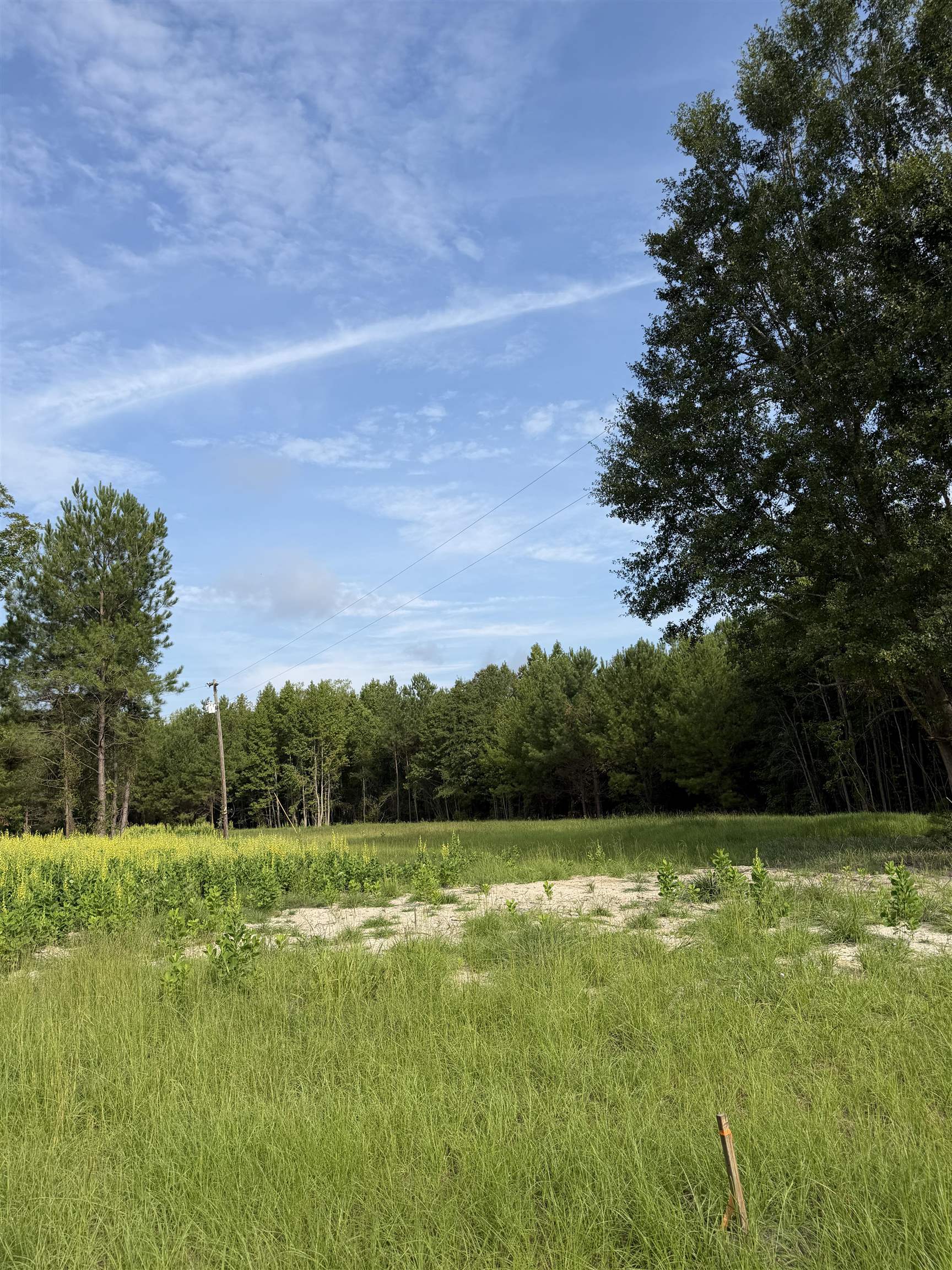 Tbd Hayfield Rd. Property Photo 11
