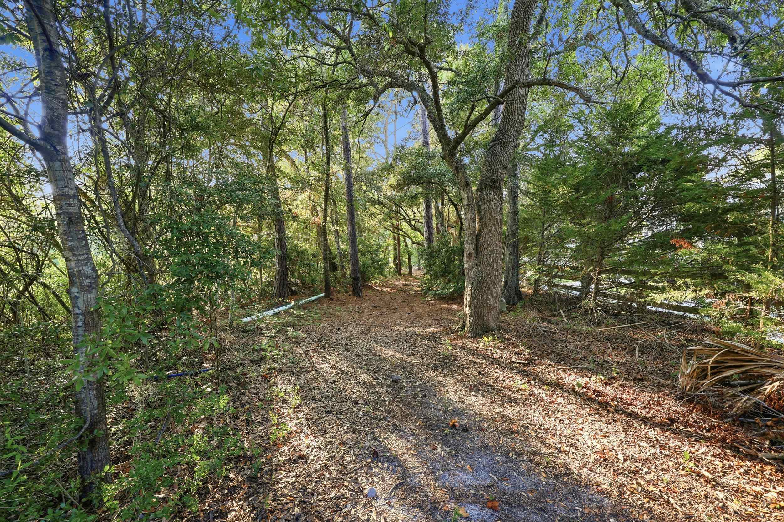 159 Wisteria Plantation Dr. Property Photo 60