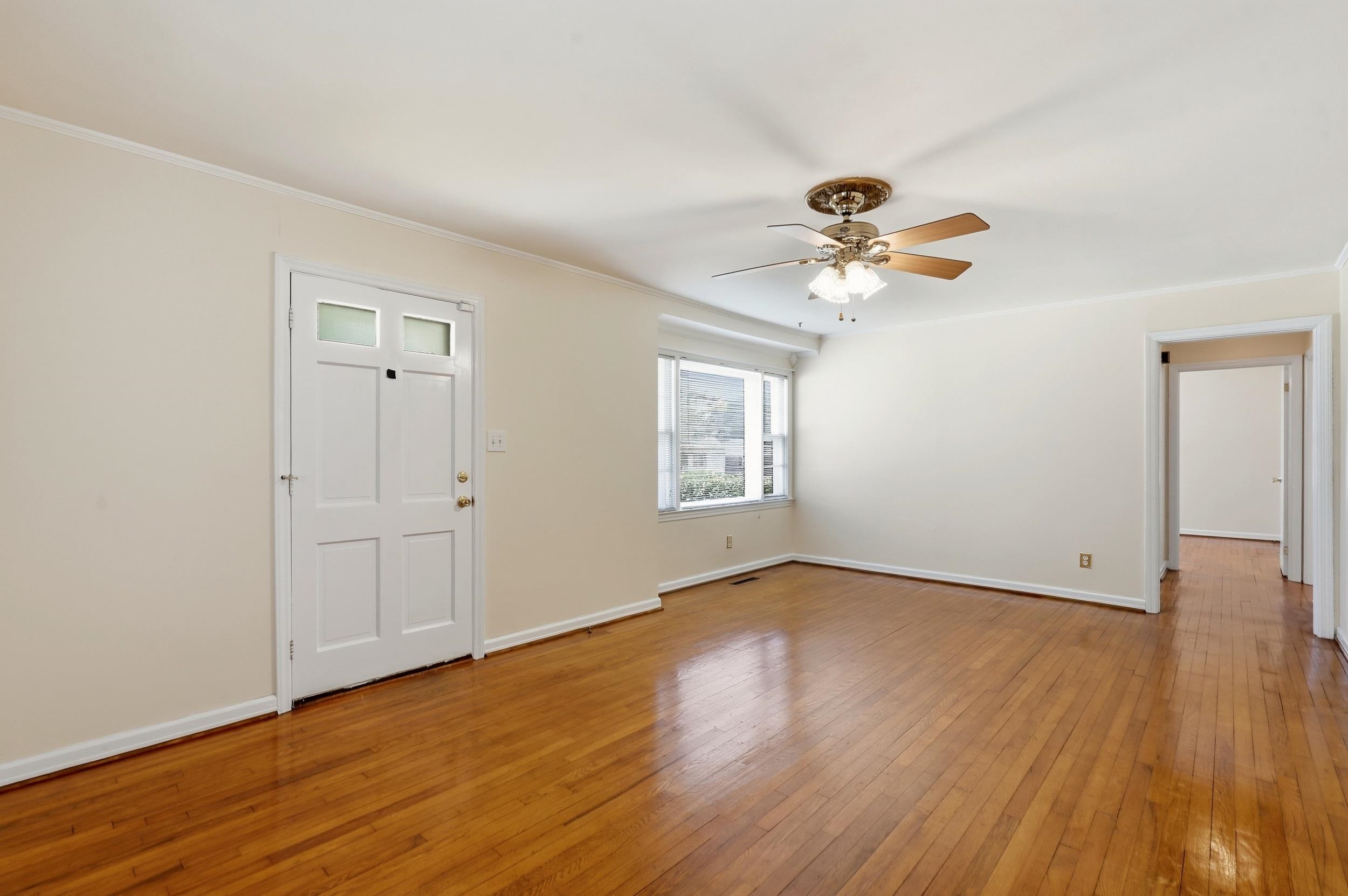 409 Palmetto St. Property Photo 23
