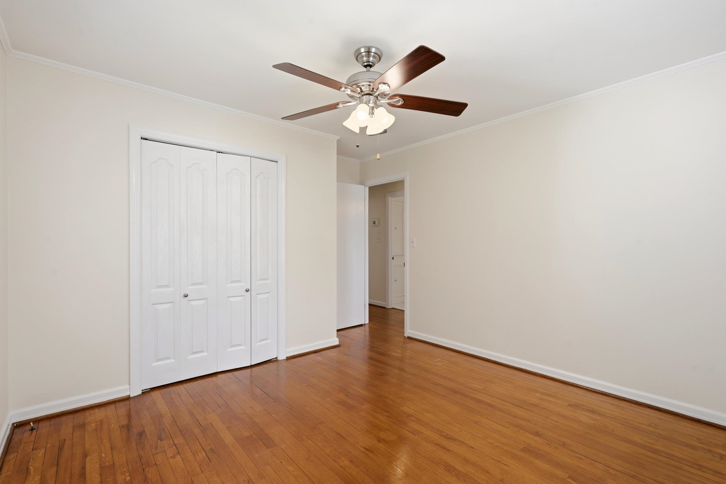 409 Palmetto St. Property Photo 31
