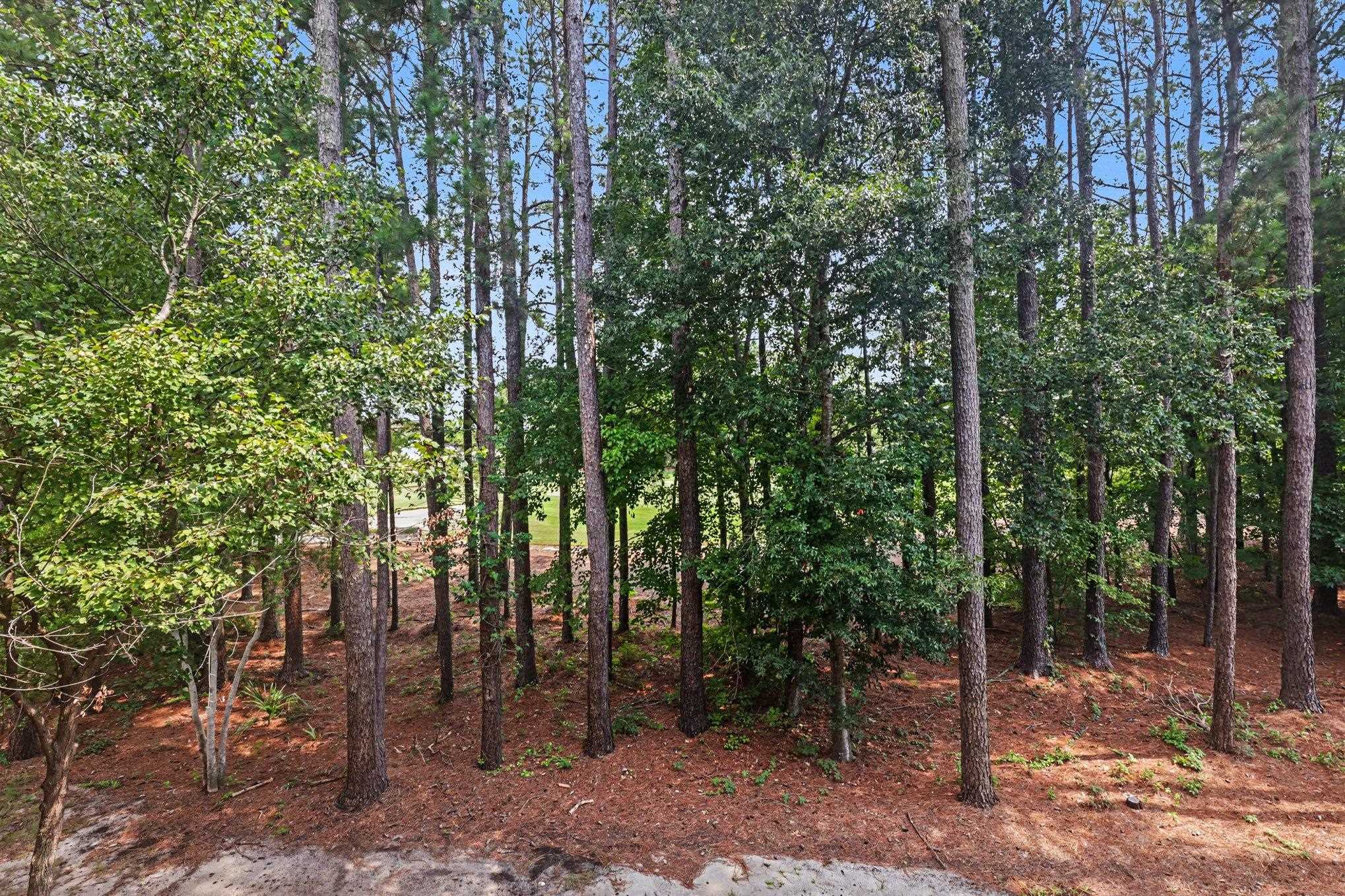 6253 Catalina Dr. Property Photo 25