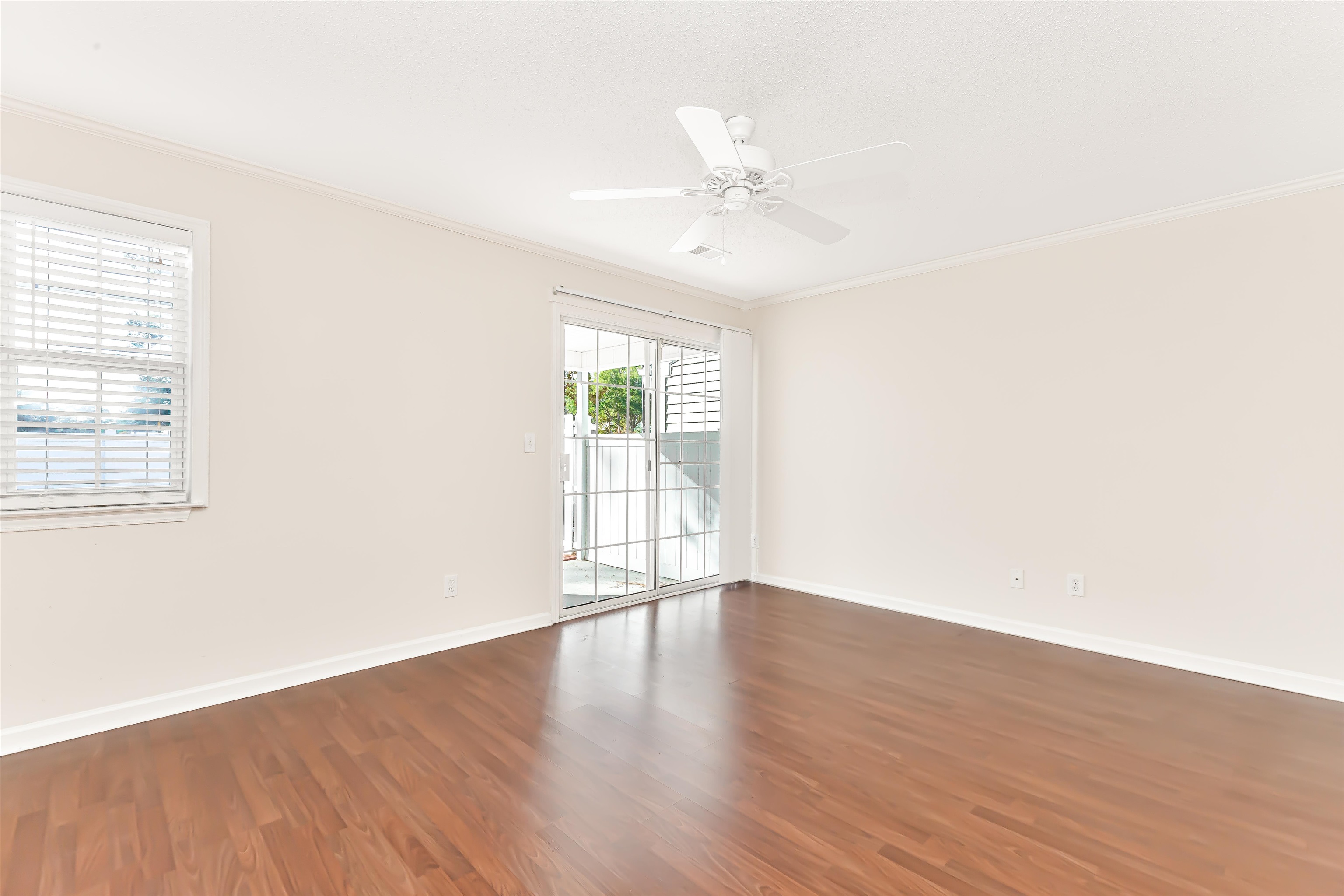3555 Crepe Myrtle Ct. Property Photo 13
