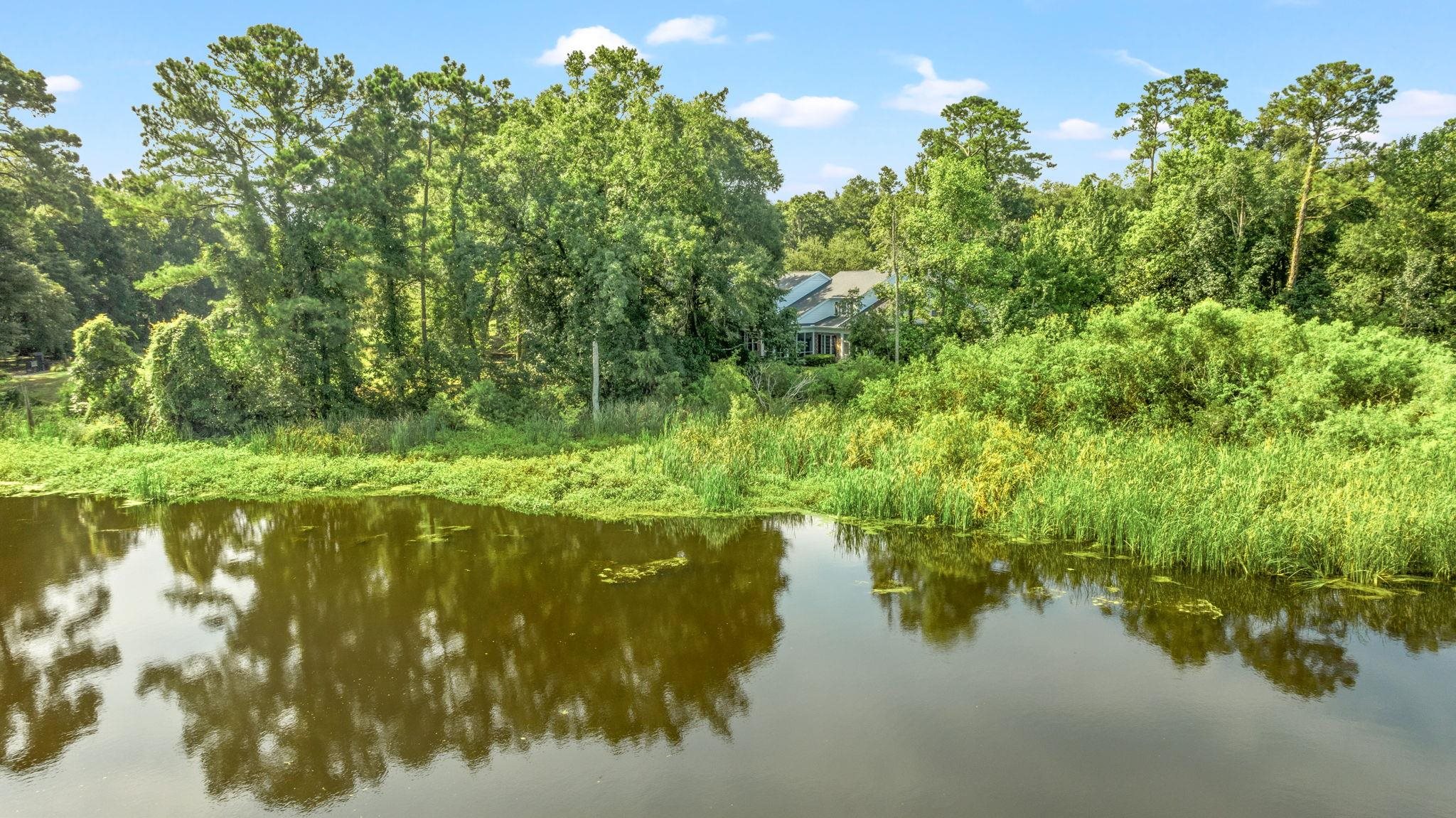 273 Golden Bear Dr. Property Photo 50
