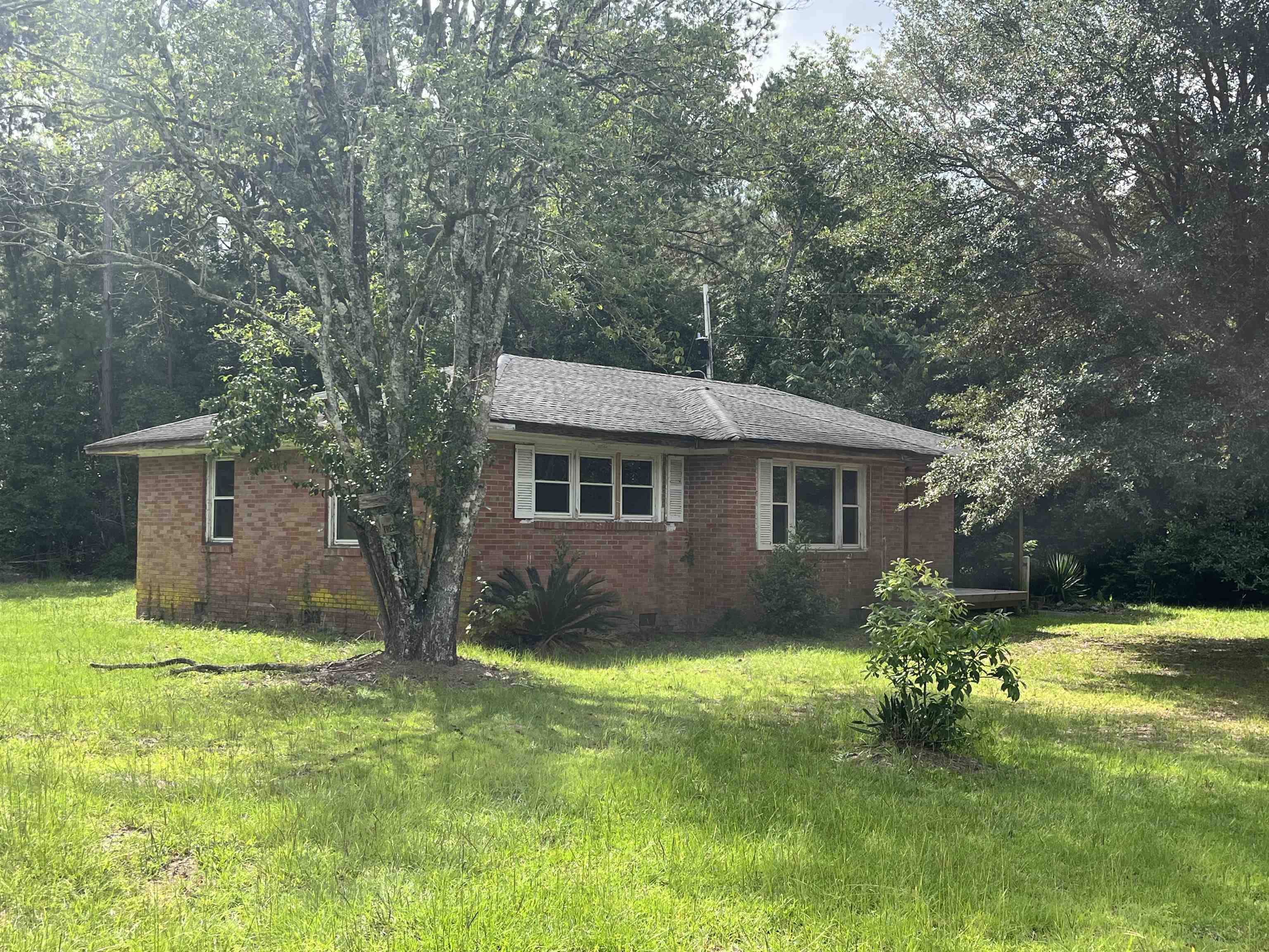 408 Eva Loop Property Photo 2