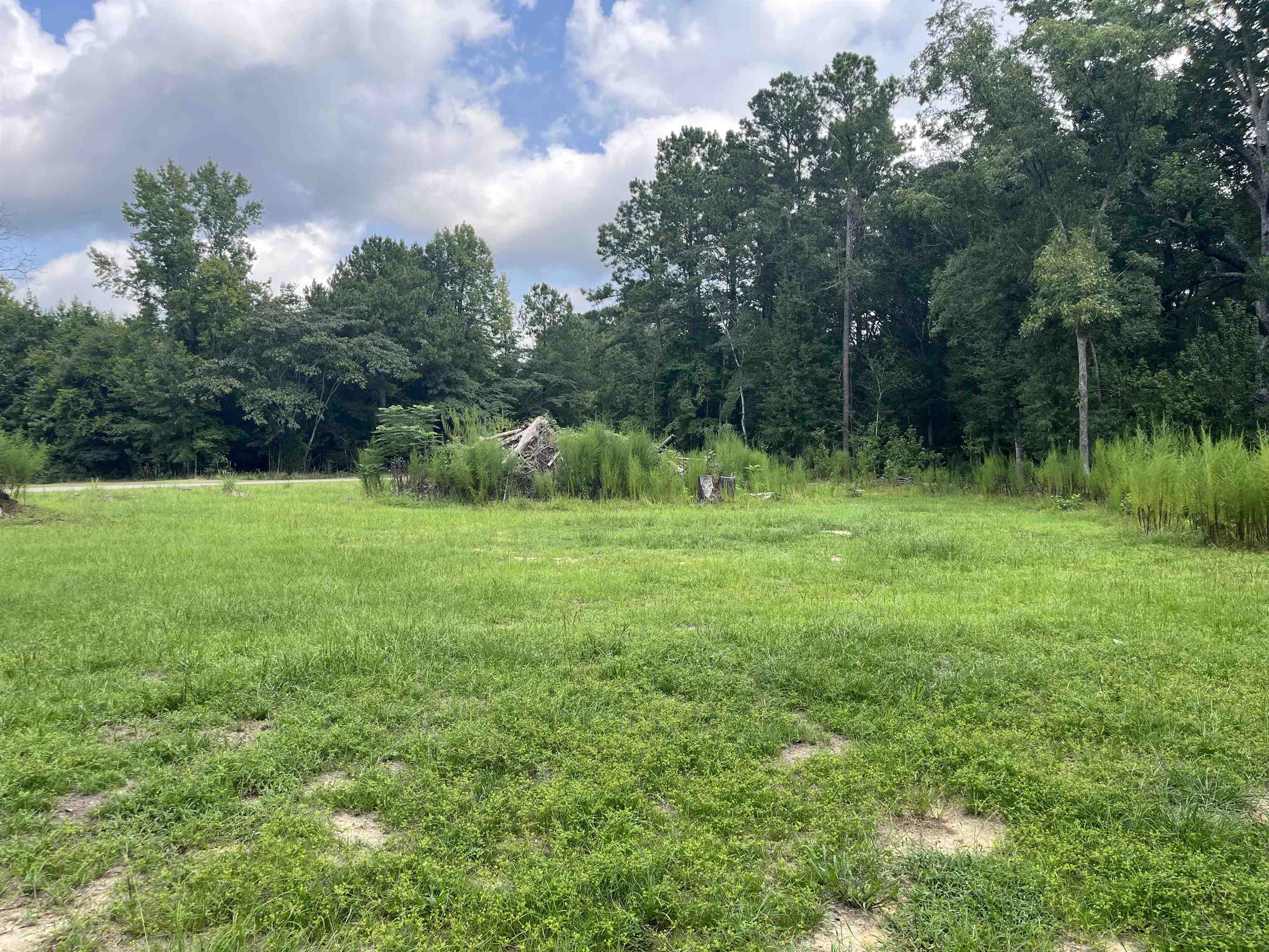 408 Eva Loop Property Photo 5