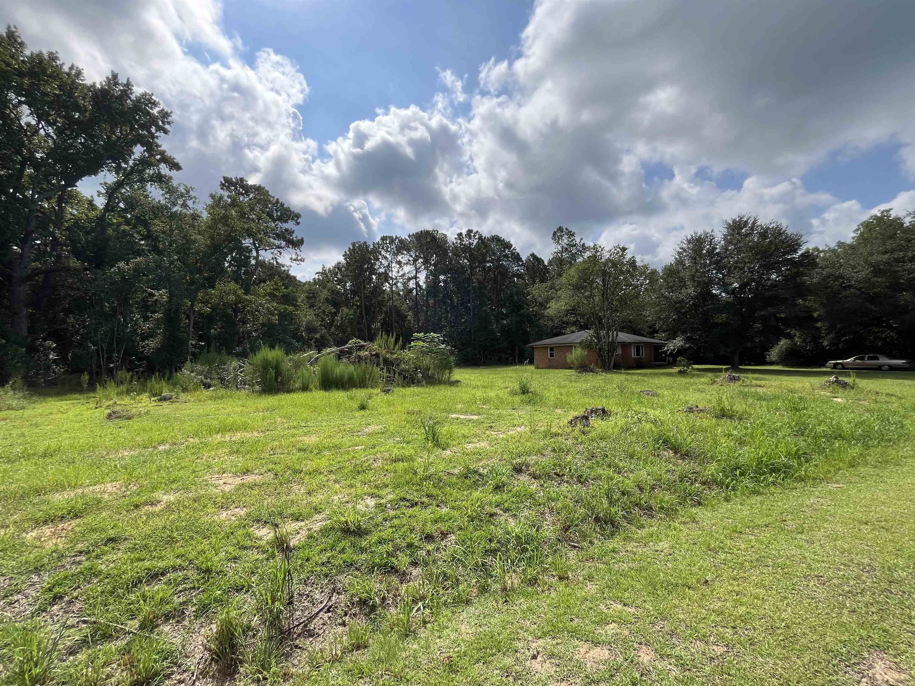 408 Eva Loop Property Photo 2