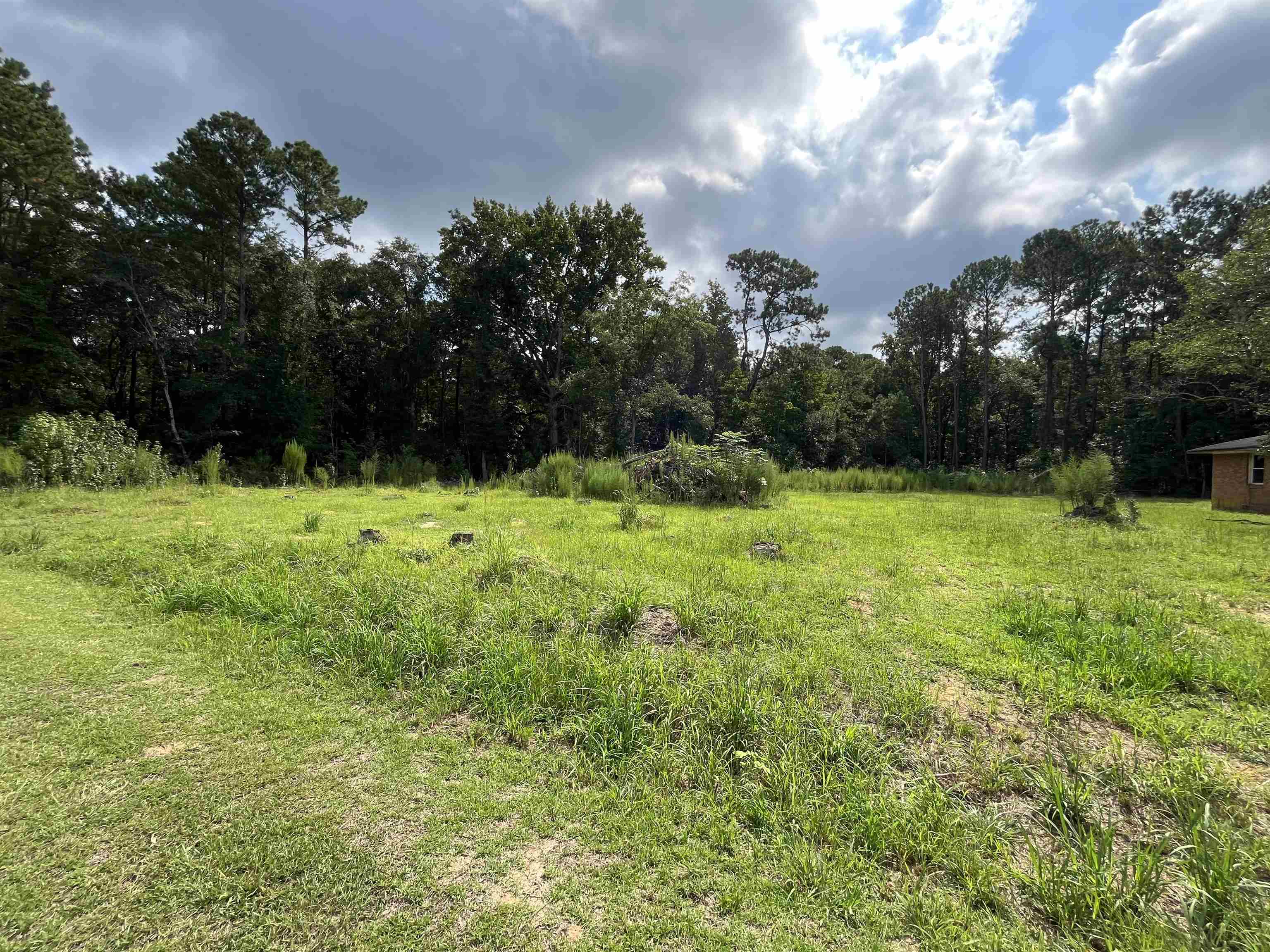 408 Eva Loop Property Photo 5