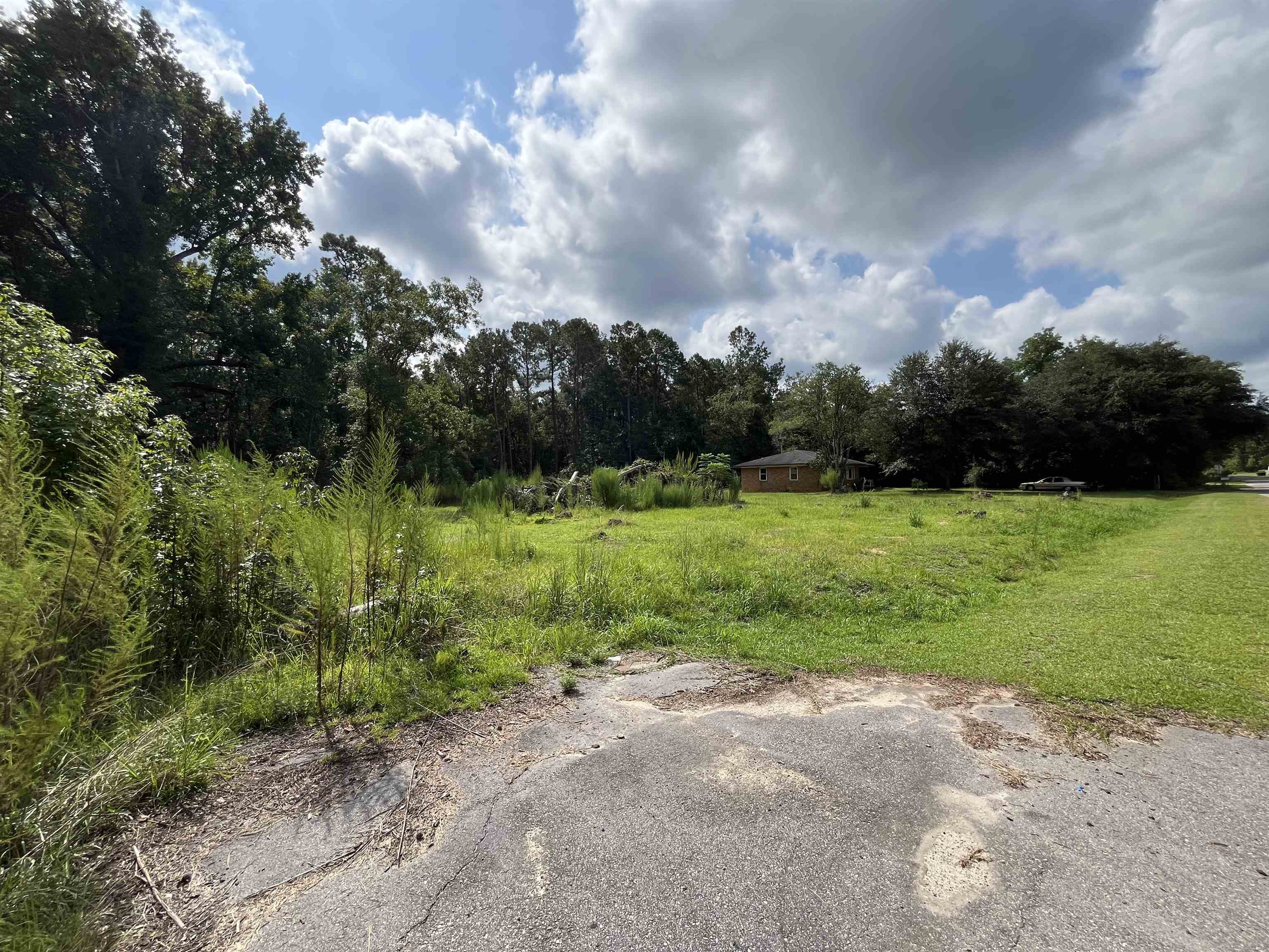 408 Eva Loop Property Photo 6