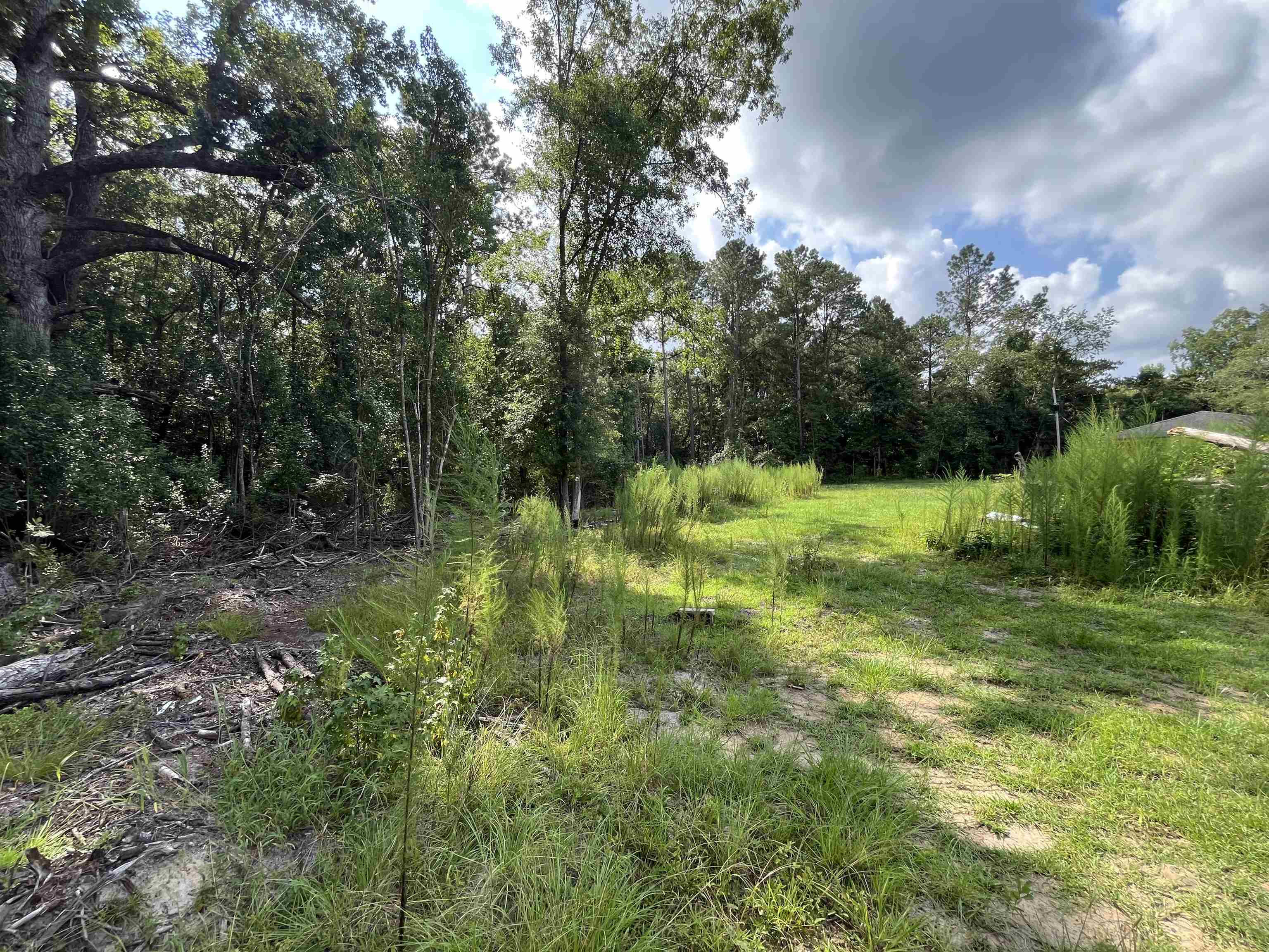 408 Eva Loop Property Photo 8