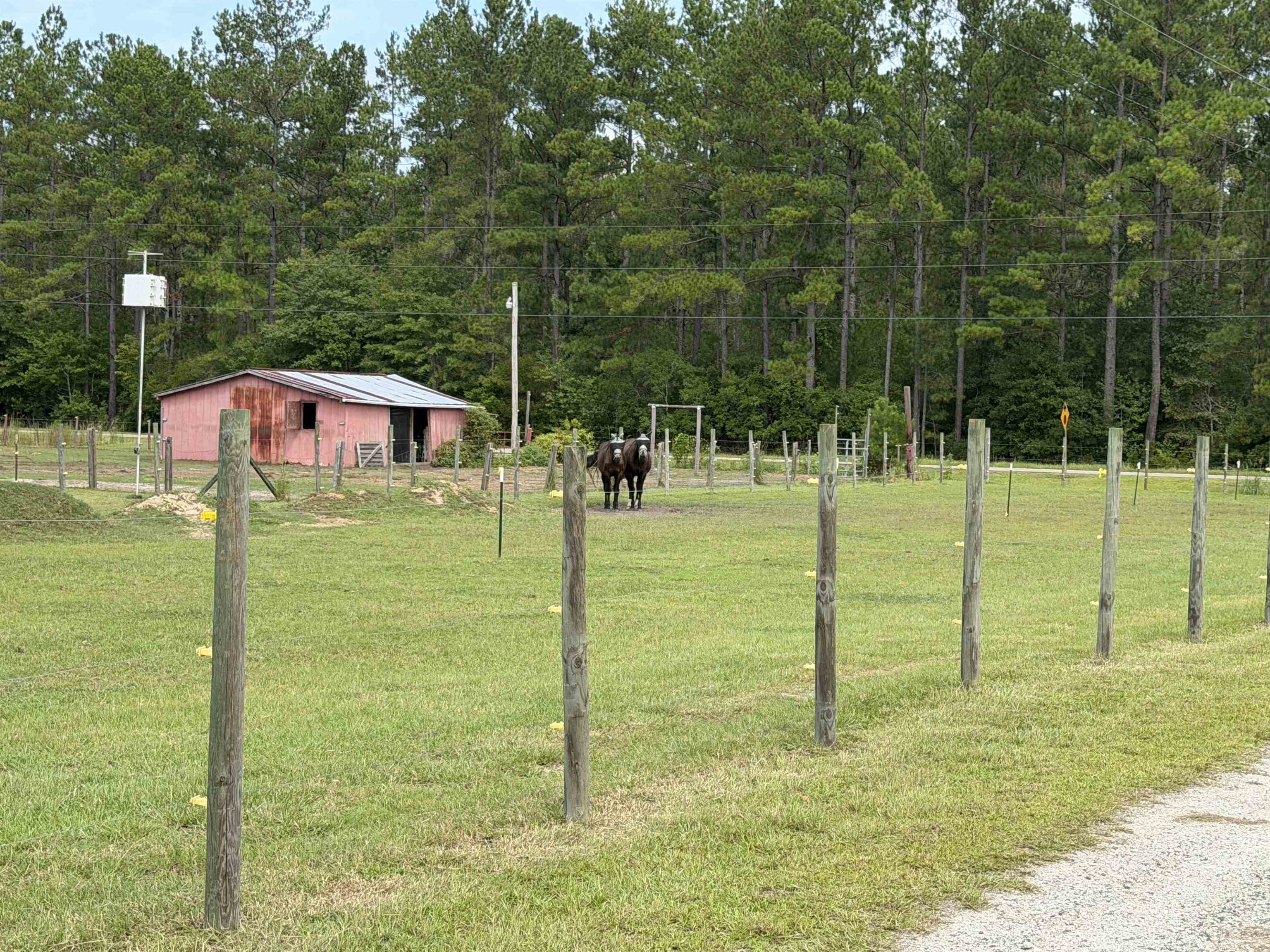4224 Horse Pen Bay Rd. Property Photo 25