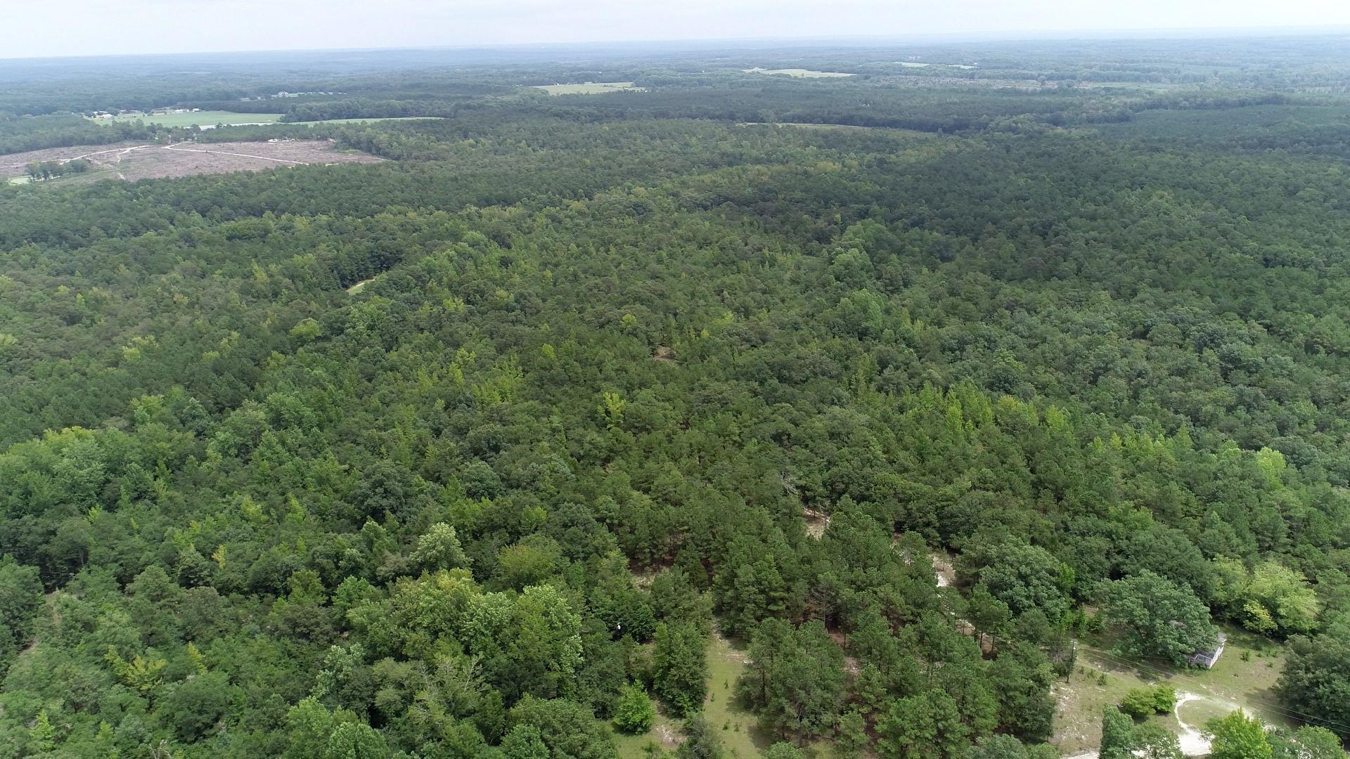 Young Circle Property Photo 3