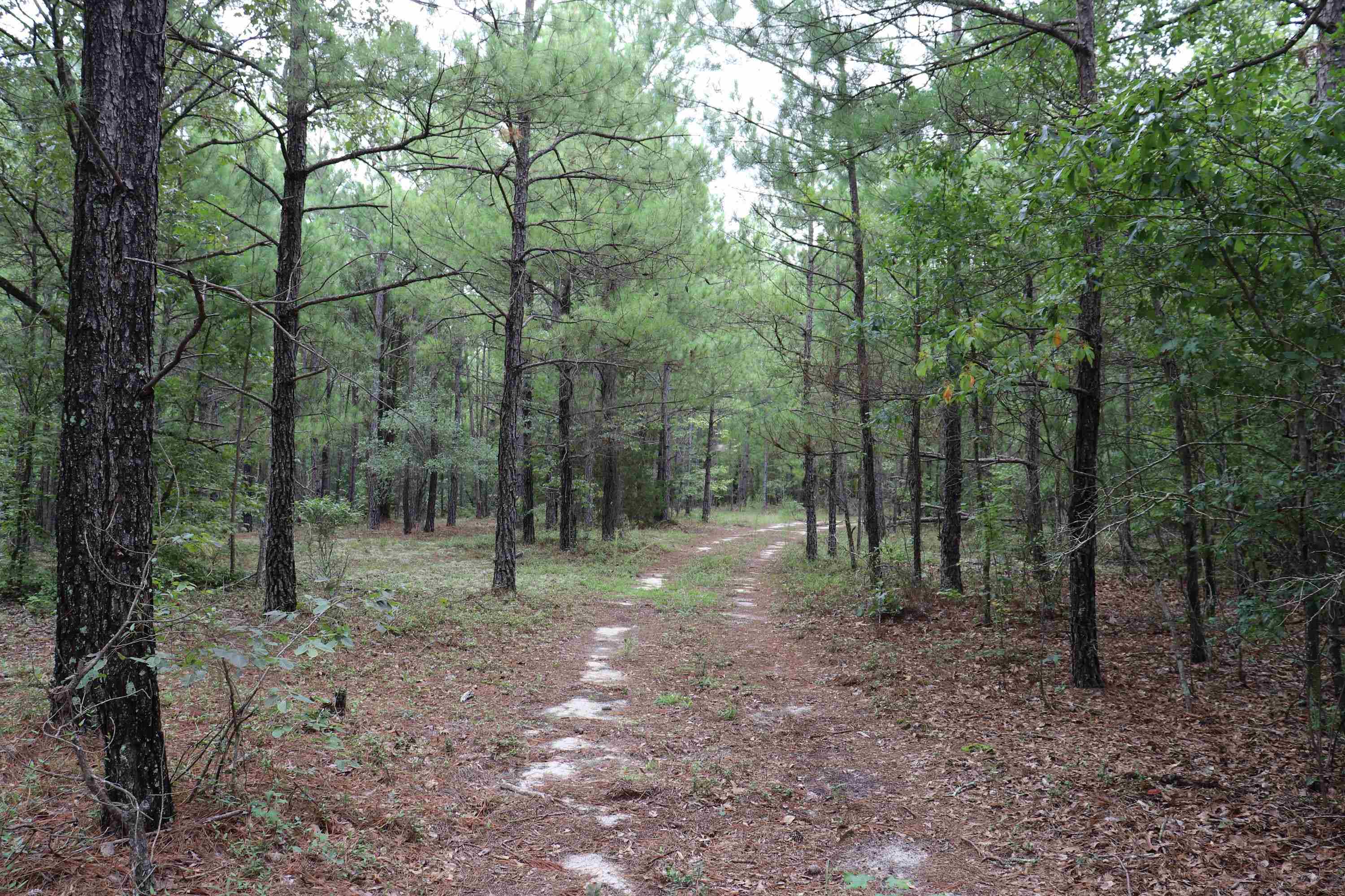Young Circle Property Photo 4
