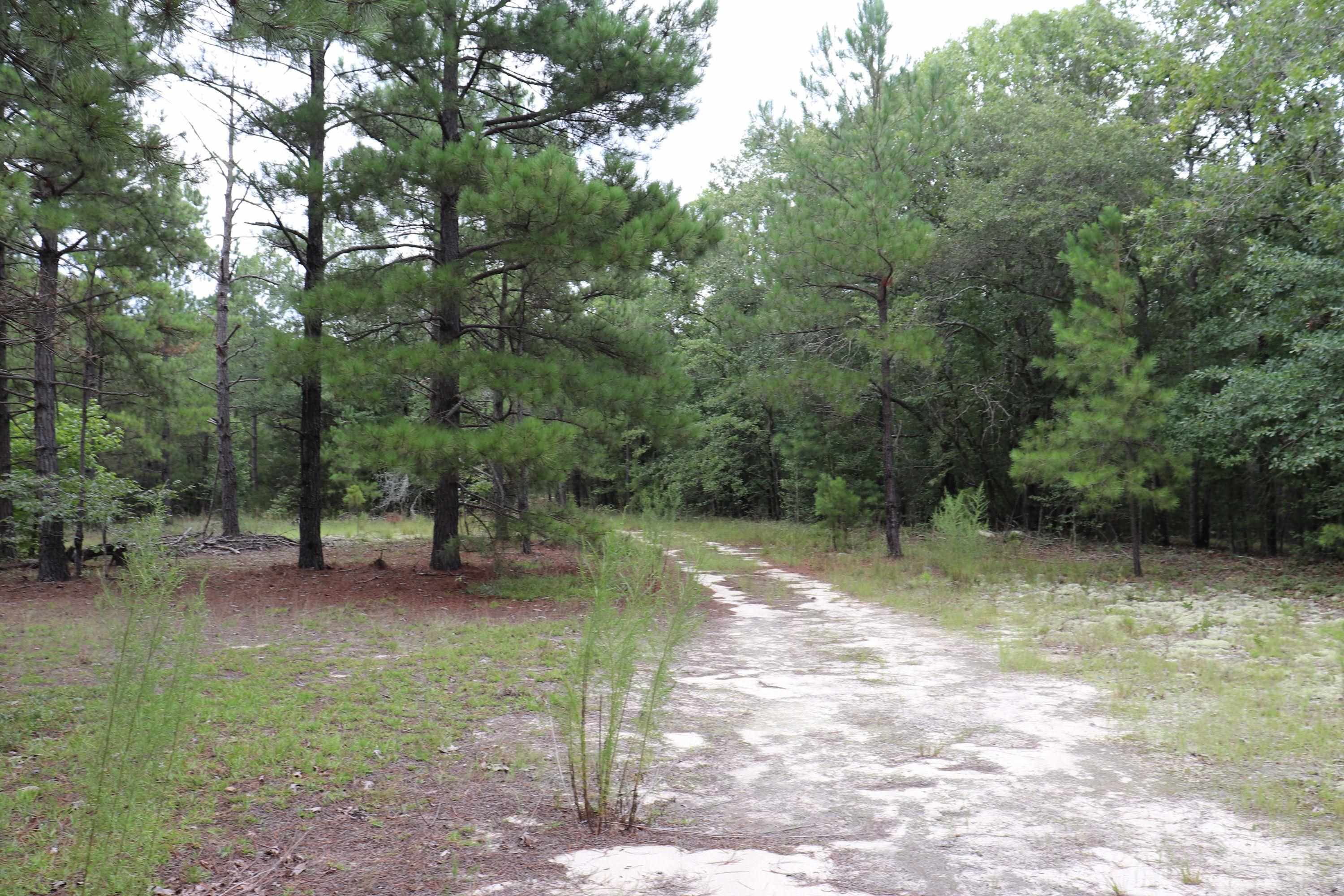 Young Circle Property Photo 5