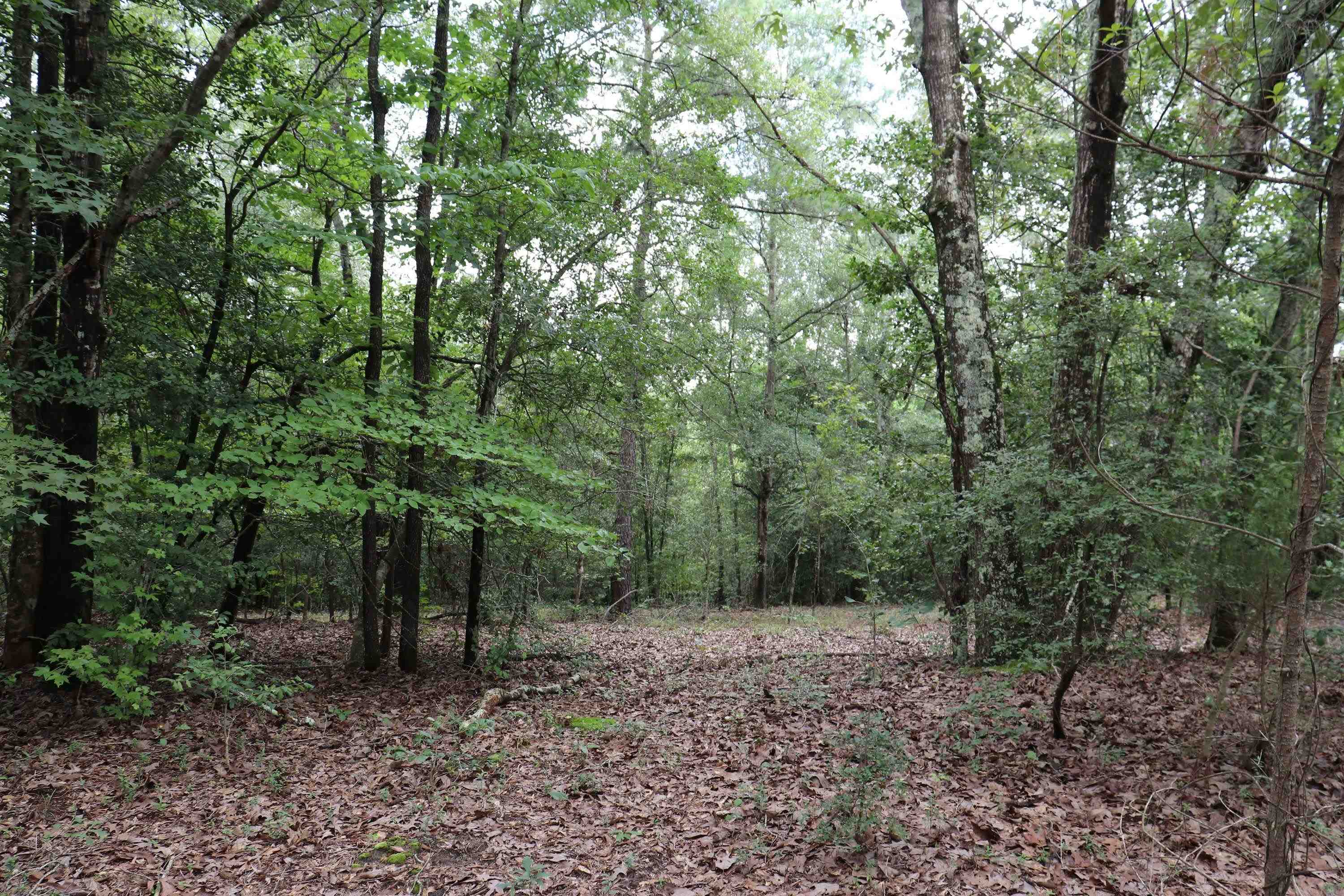 Young Circle Property Photo 6