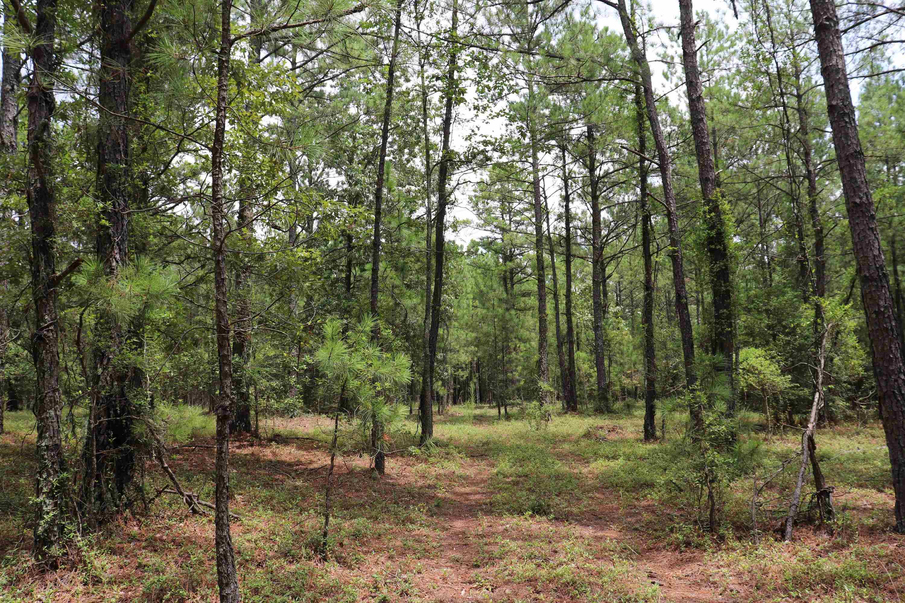 Young Circle Property Photo 7