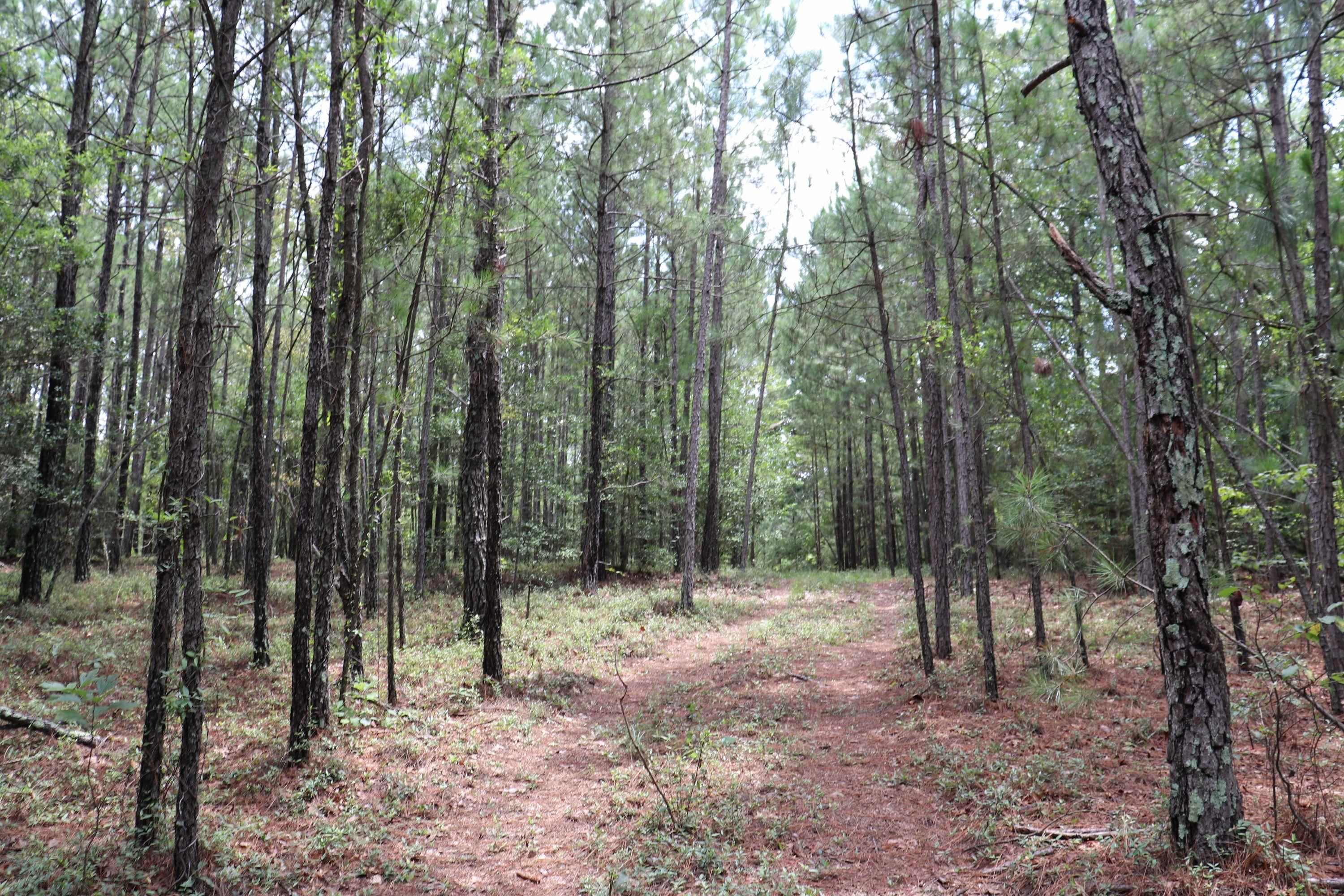 Young Circle Property Photo 8