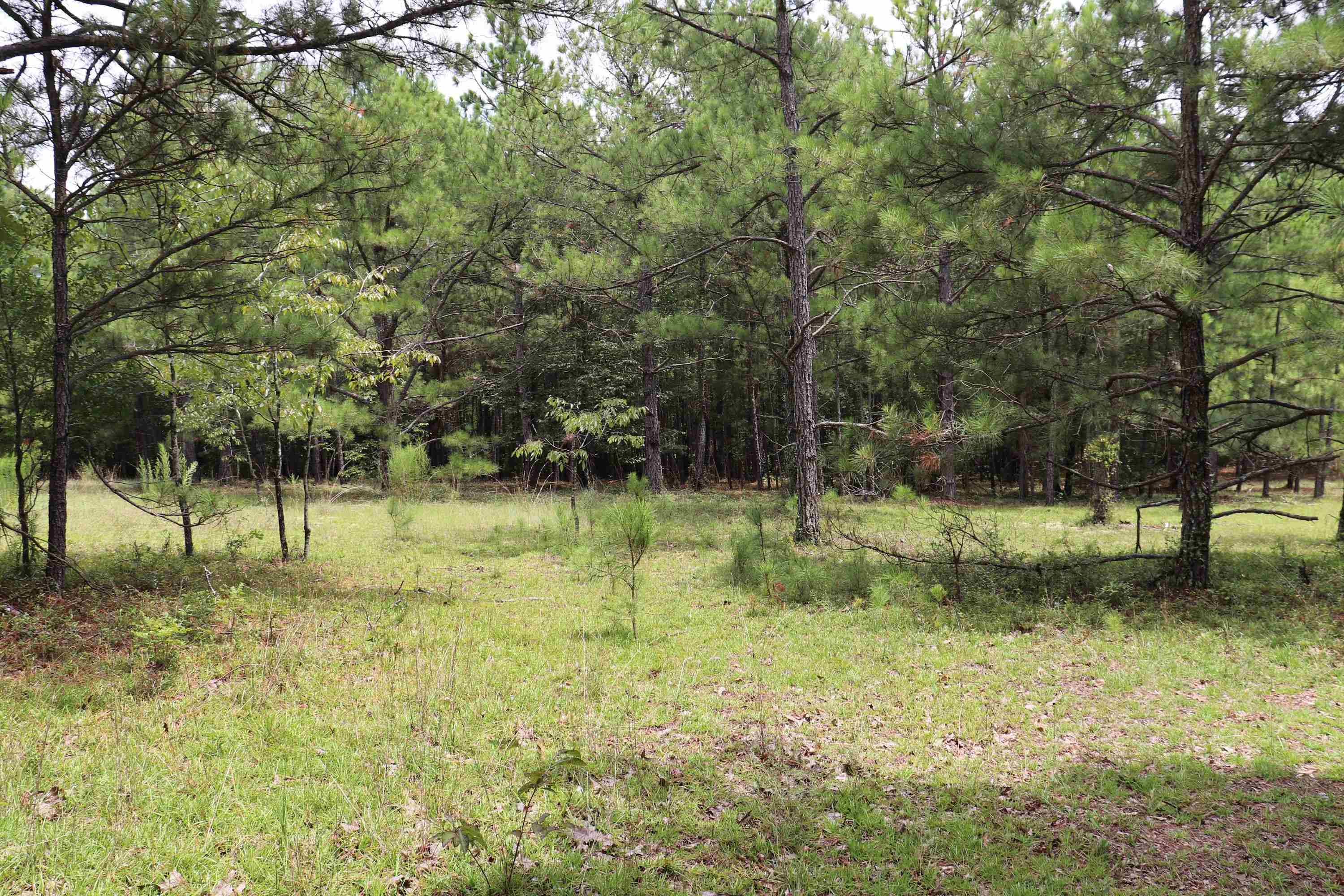 Young Circle Property Photo 9