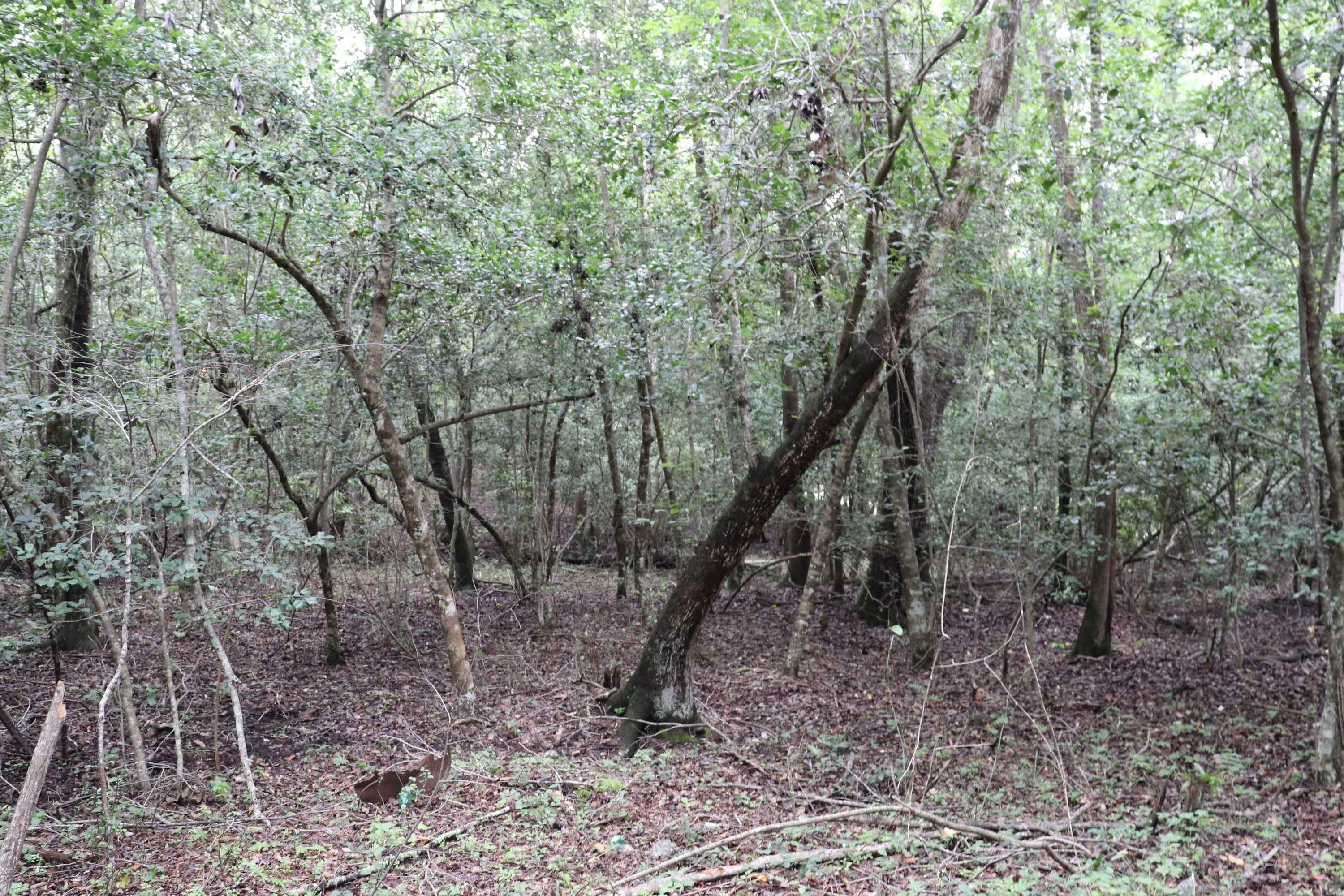 Young Circle Property Photo 10