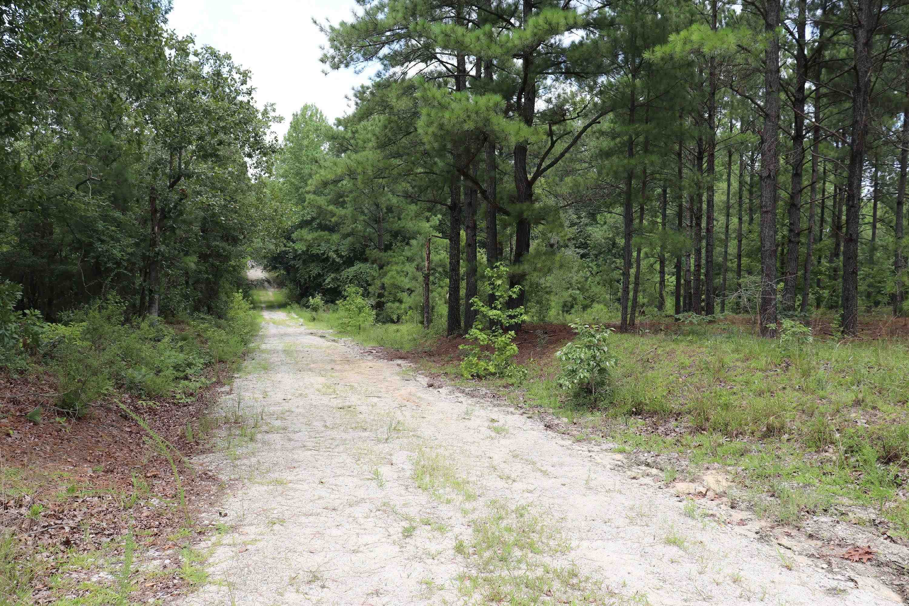 Young Circle Property Photo 11