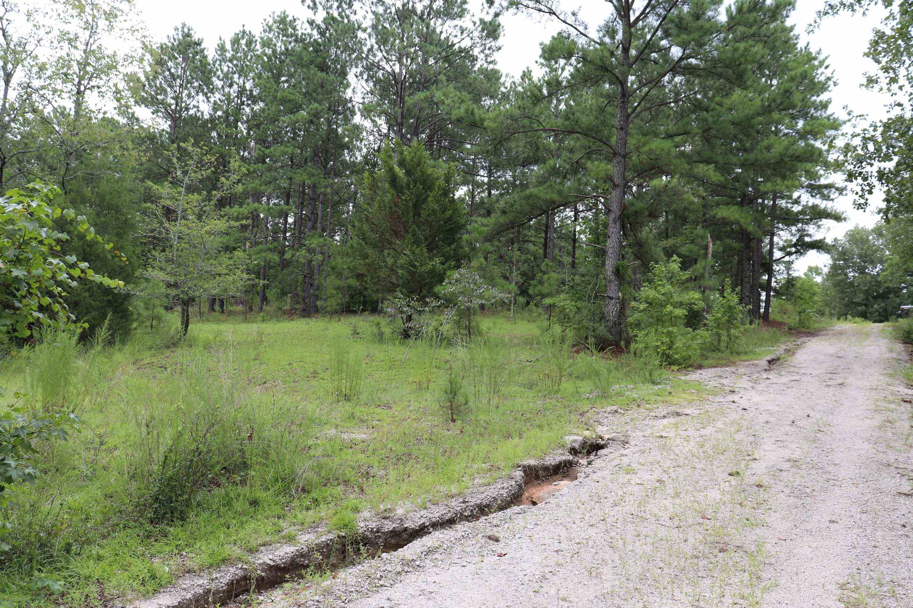 Young Circle Property Photo 12