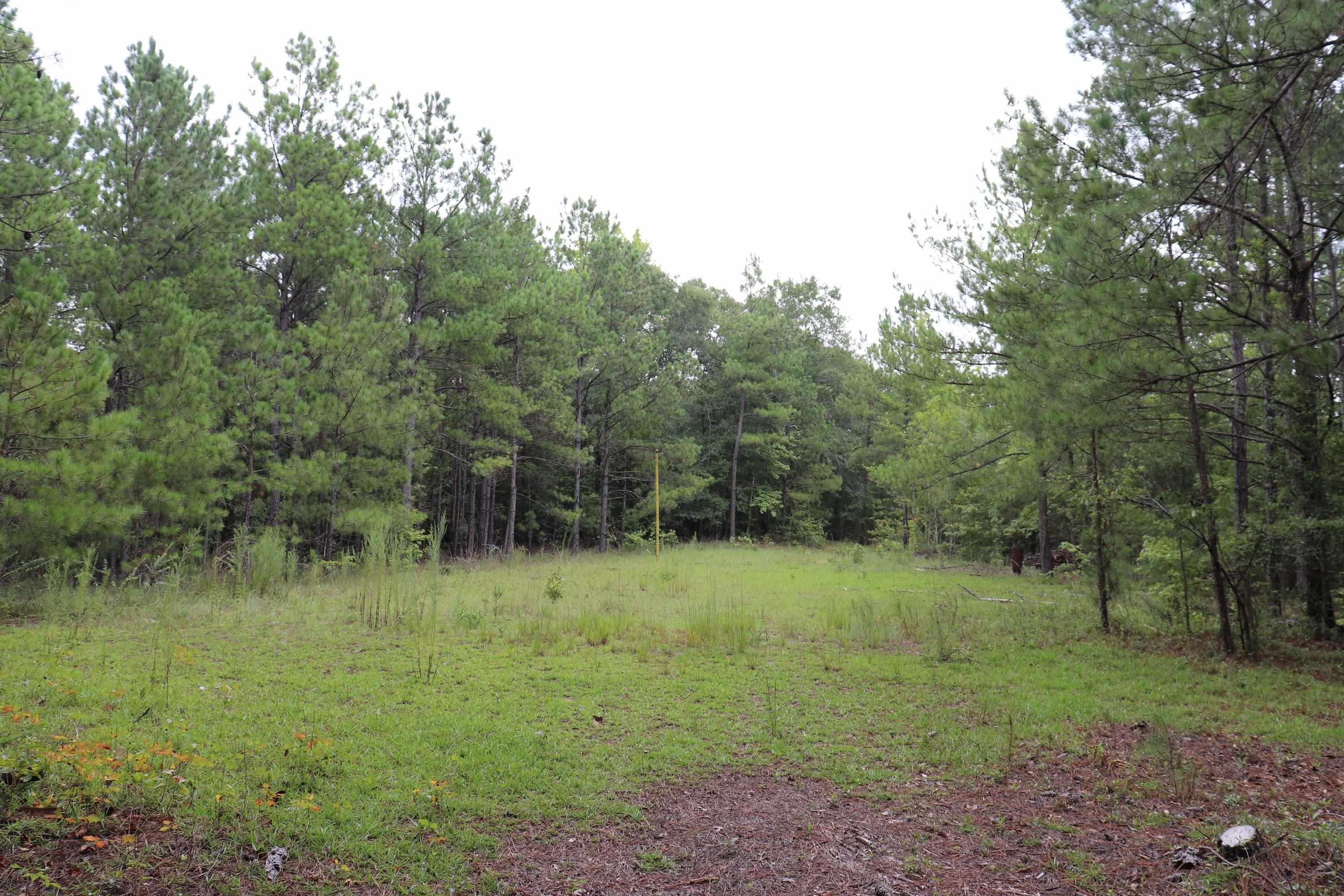Young Circle Property Photo 13