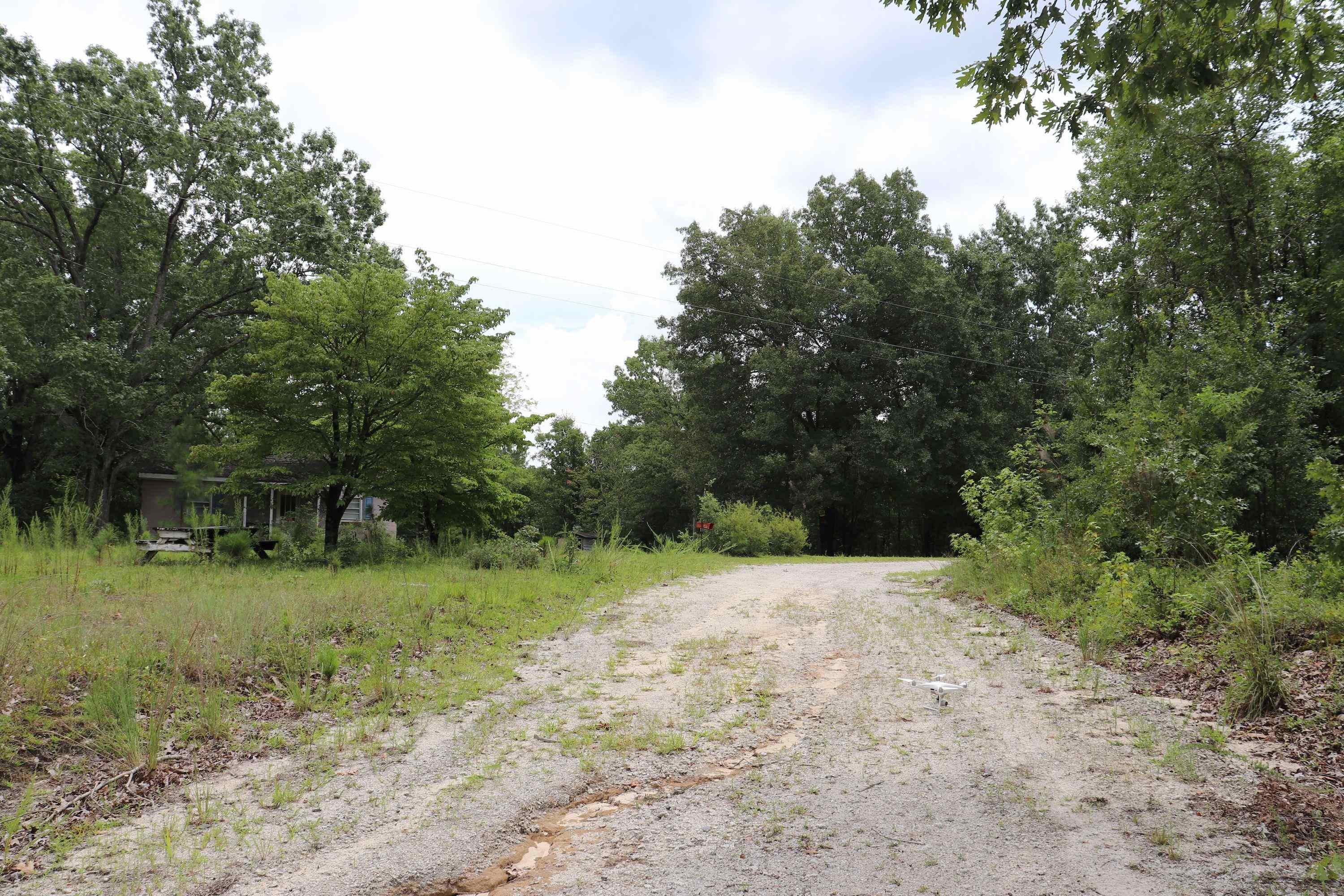 Young Circle Property Photo 14