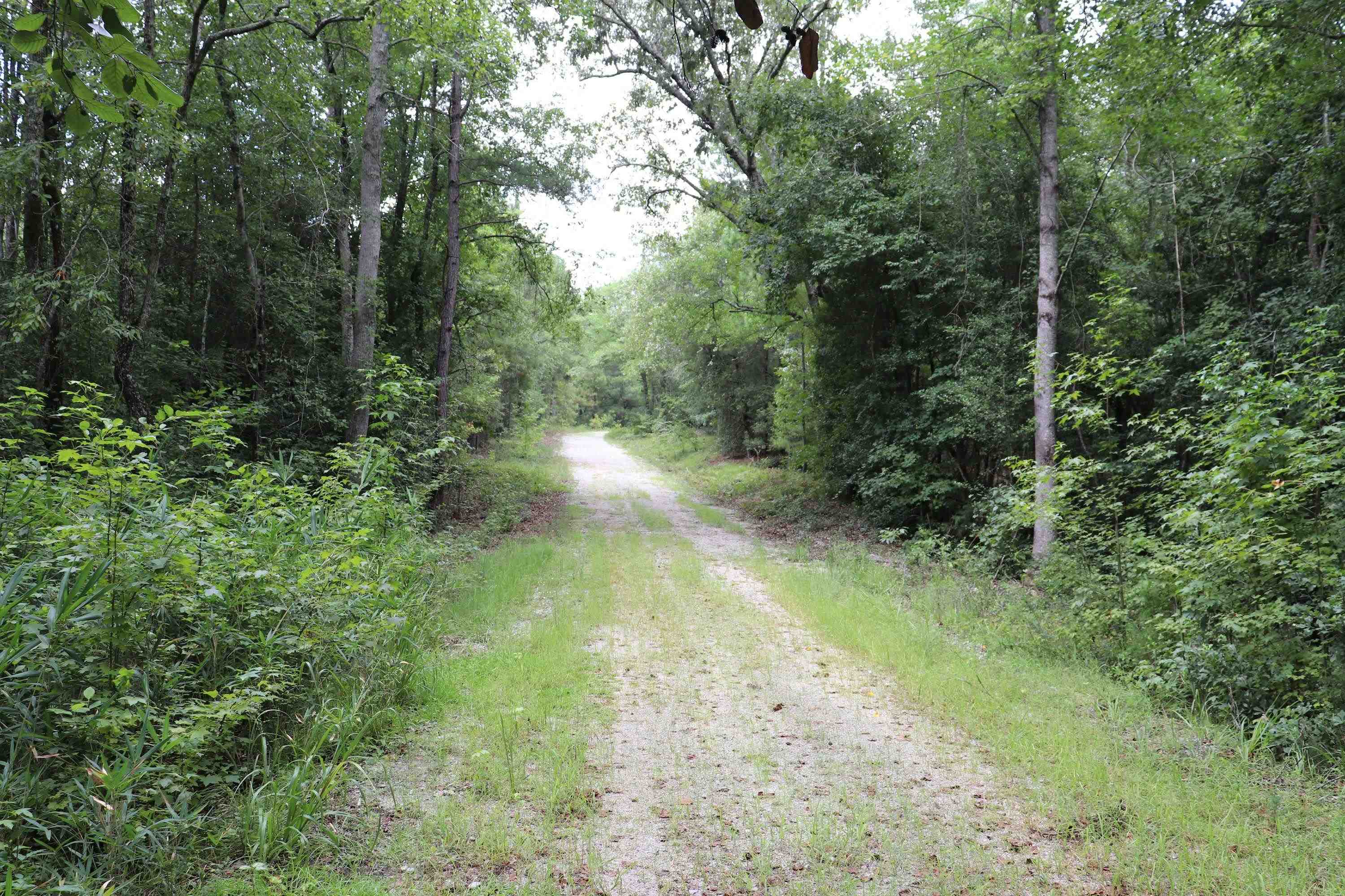 Young Circle Property Photo 16