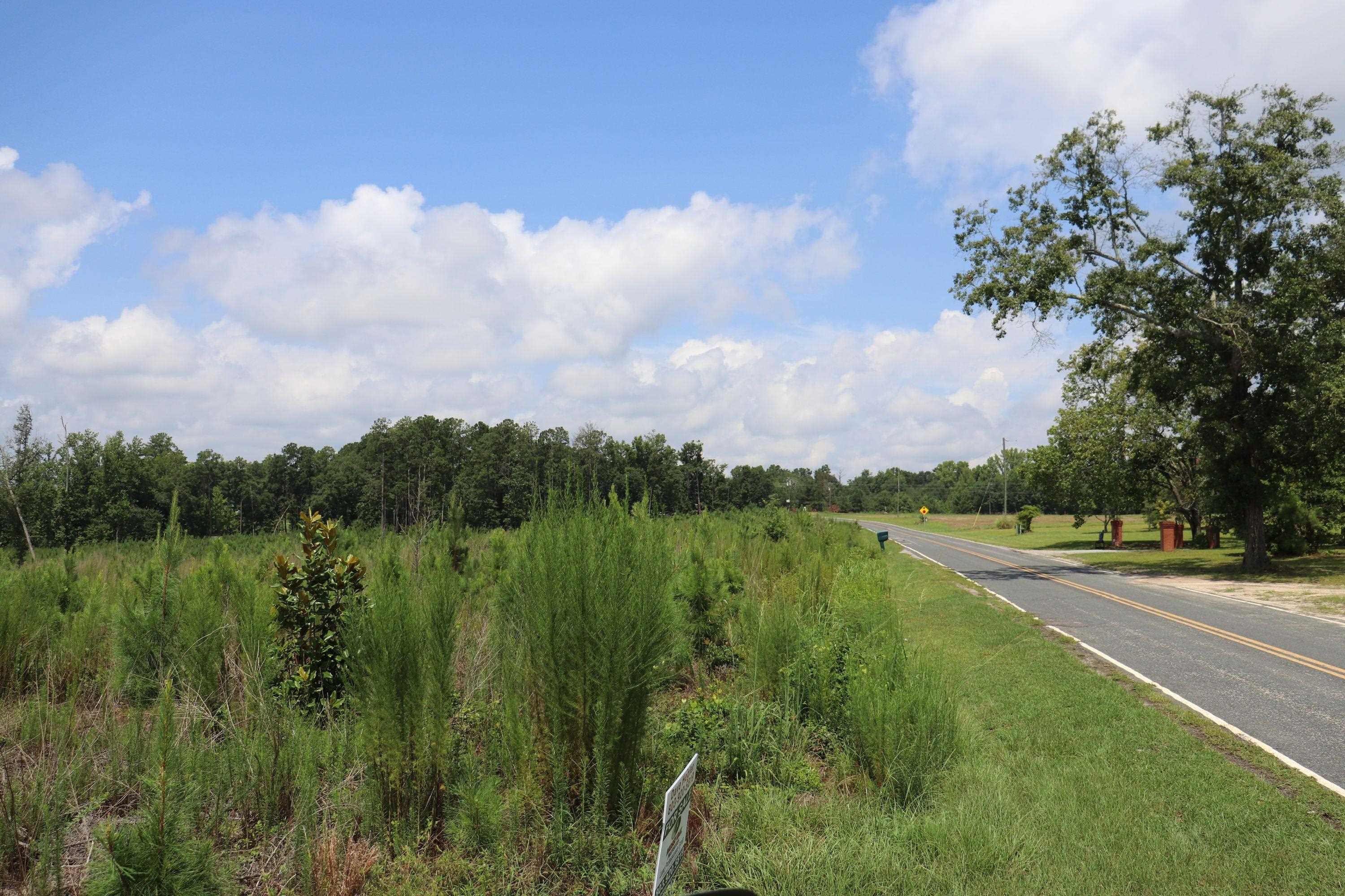Horton Rollins Rd Property Photo 6