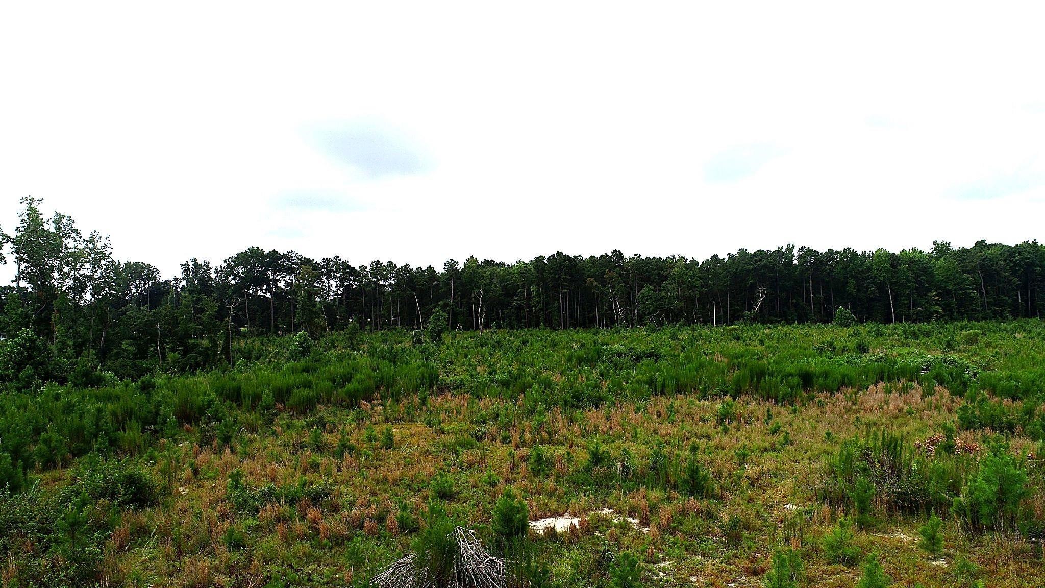 Horton Rollins Rd Property Photo 14