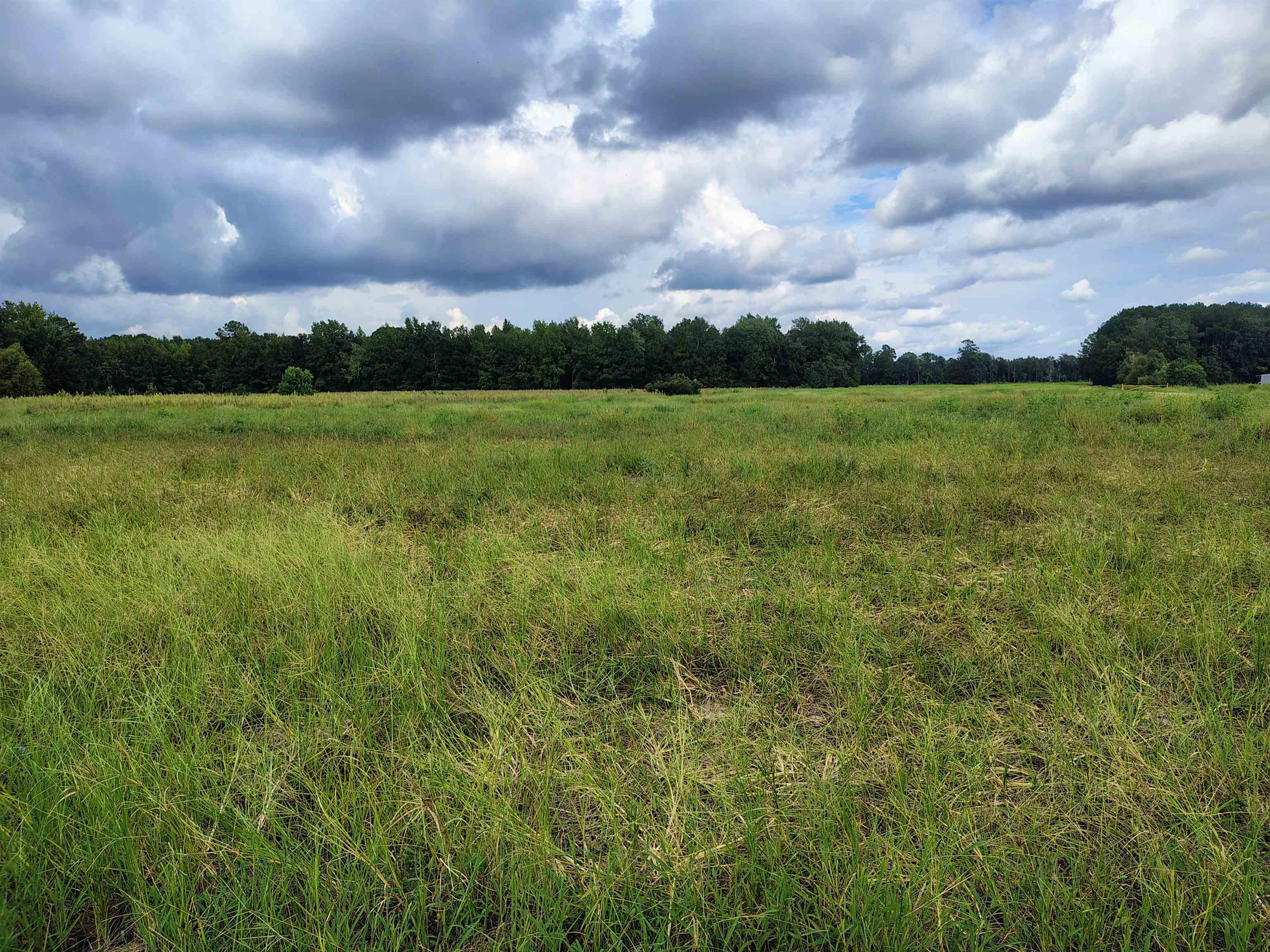 Tbd N Old Georgetown Rd. Property Photo 6